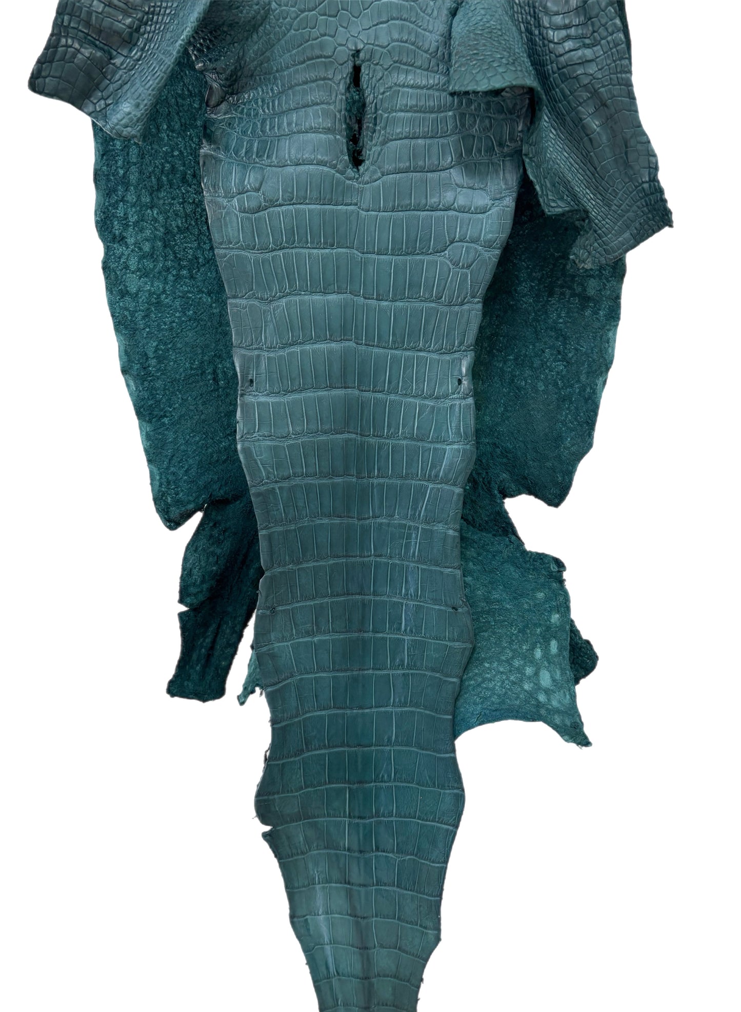 35 cm Grade 2/3 Teal Matte Wild American Alligator Leather - Tag: LA23-0019956