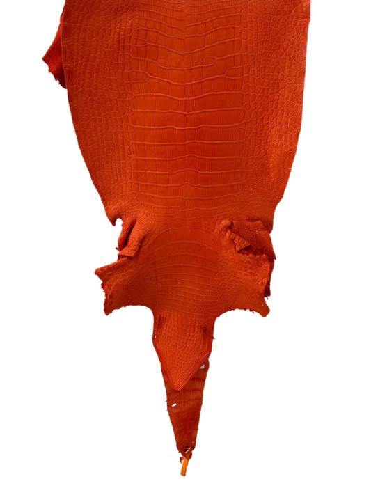 43 cm Grade 2/3 Orange Primavera Matte Wild American Alligator Leather - Tag: LA23-0024752