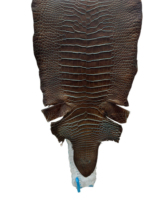 30 cm Grade 2/3 Pacifica Matte Wild American Alligator Leather - Tag: ESRE-0050888