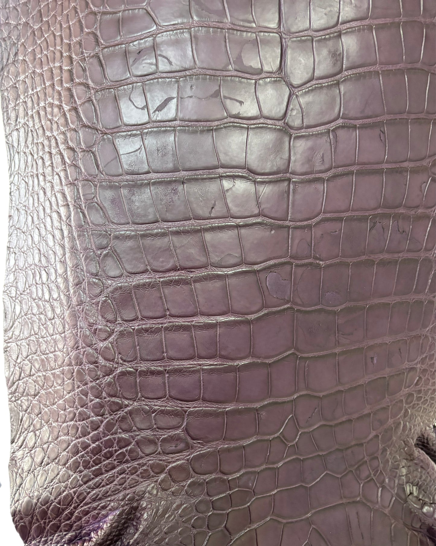42 cm Grade 4/5 Aubergine Matte Wild American Alligator Leather - Tag: LA23-0016658