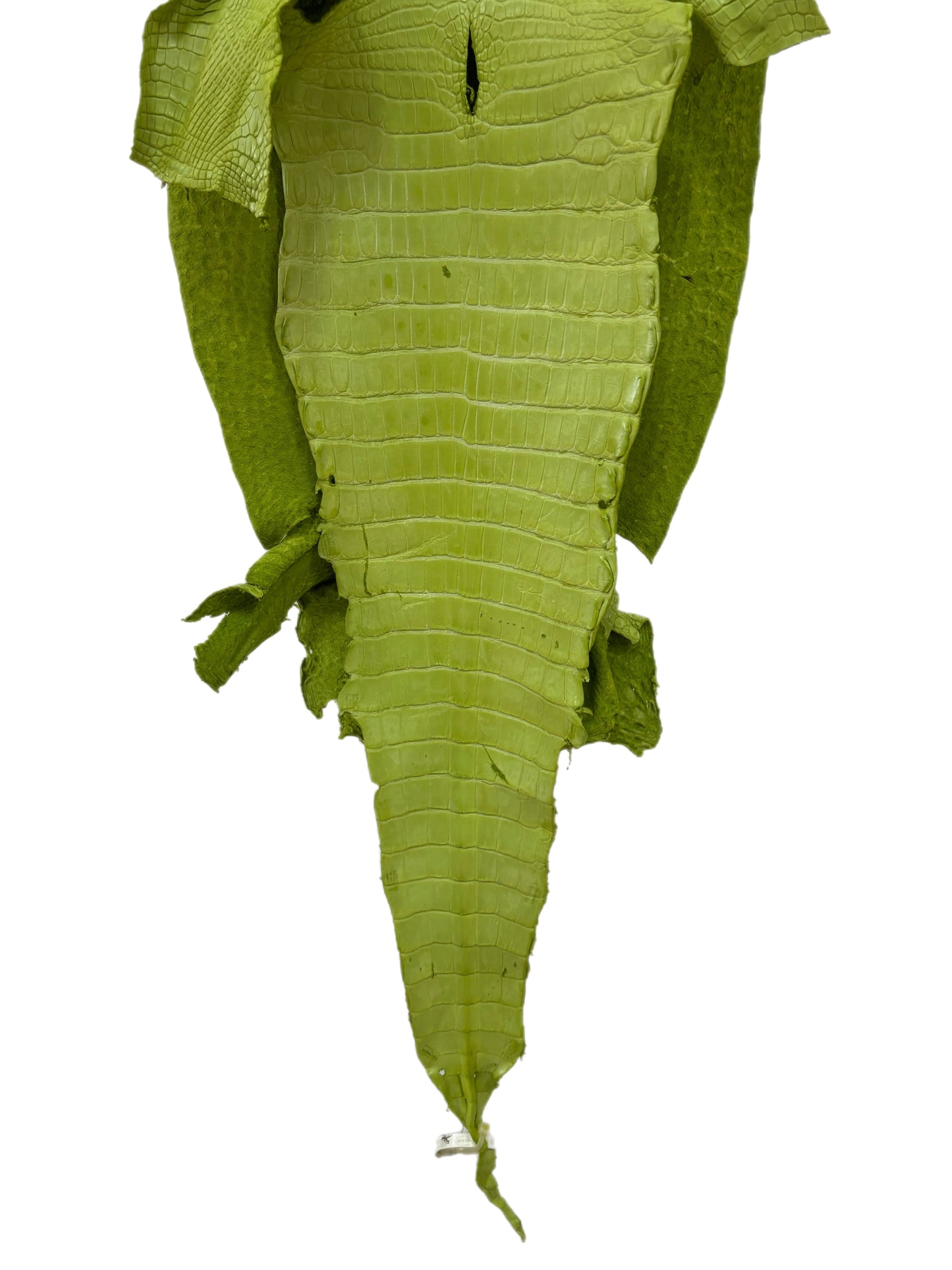 37 cm Grade 3/4 Chartreuse Matte Wild American Alligator Leather - Tag: LA23-0050605