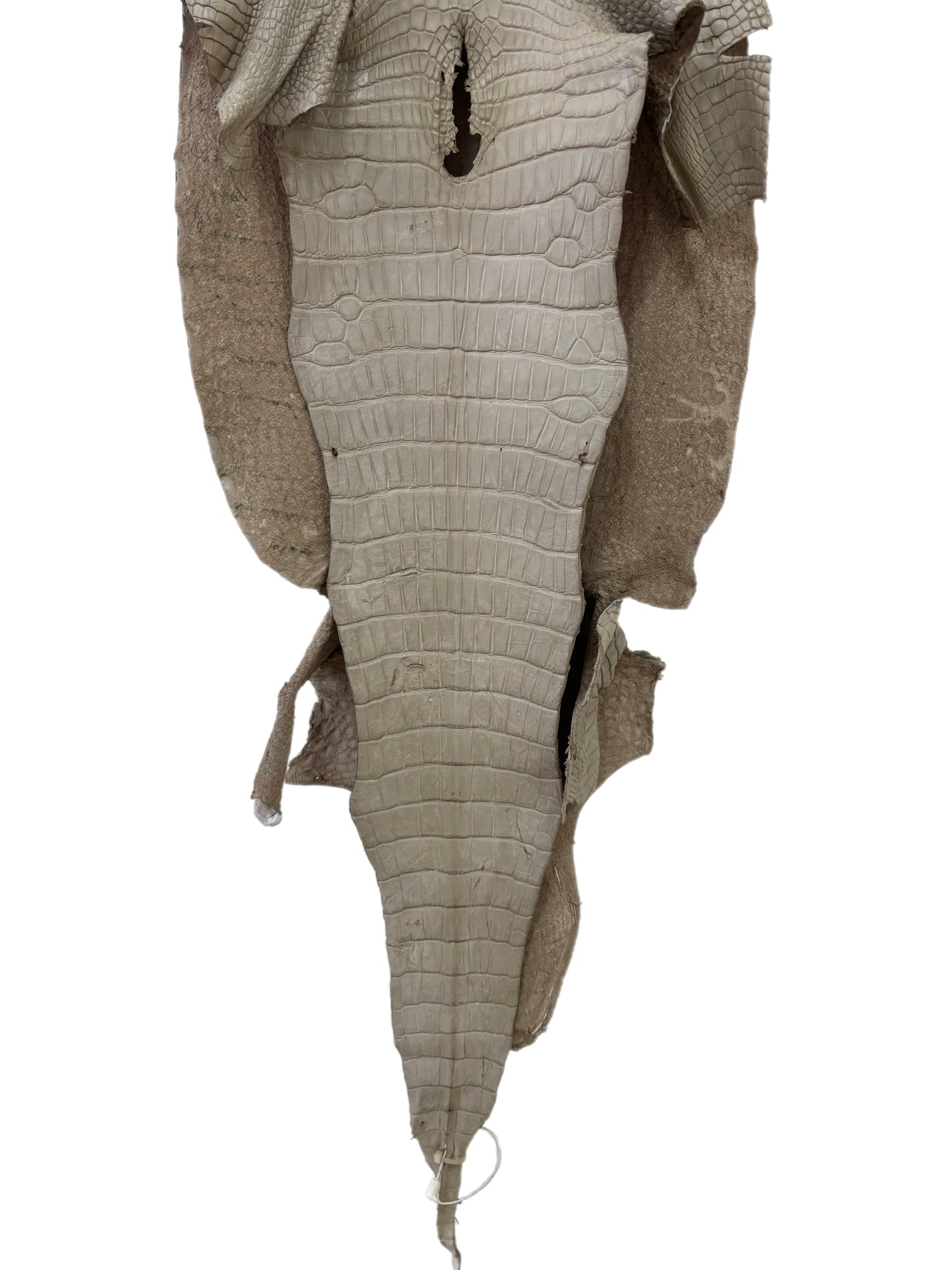 38 cm Grade 3/4 Stormy Matte Wild American Alligator Leather - Tag: LA23-0006591