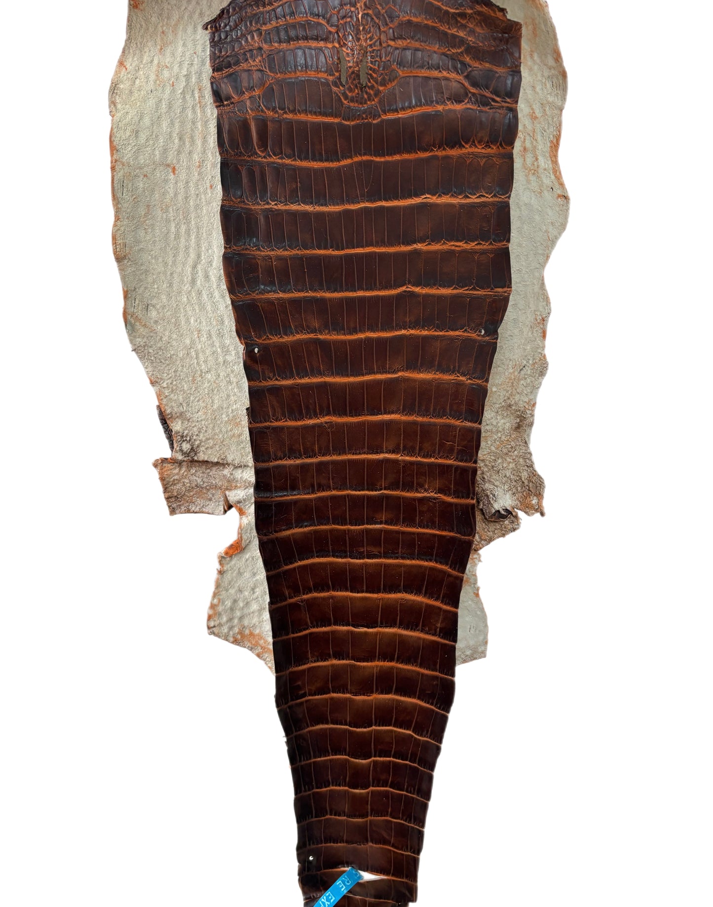 28 cm Grade 1/2 Sienna Matte Wild American Alligator Leather - Tag: ESRE-0050708