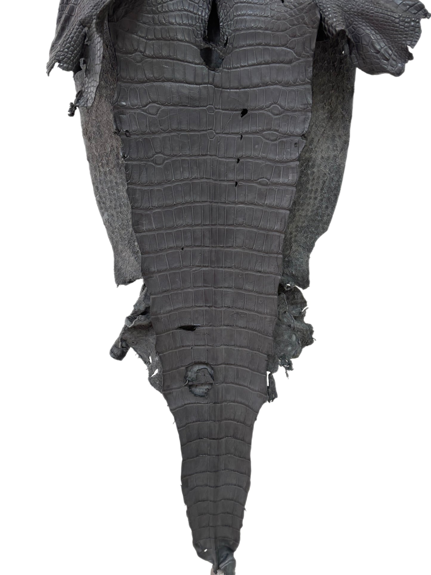40 cm Grade 3/4 Serpentine Grey Matte Wild American Alligator Leather - Tag: LA23-0023169
