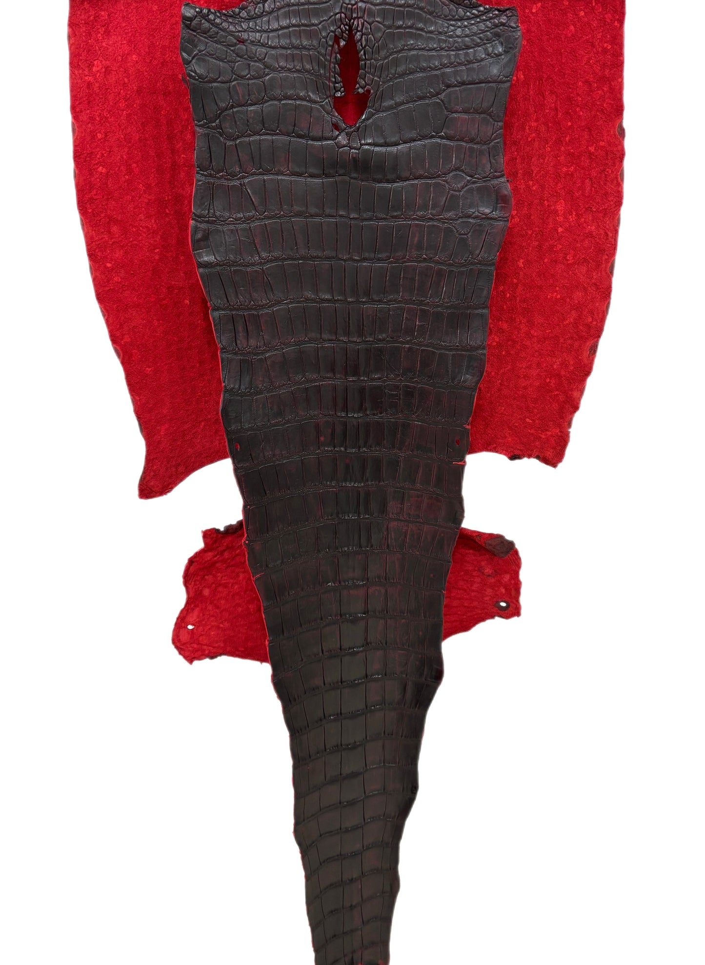 43 cm Grade 2/3 Black Cherry Matte Wild American Alligator Leather - Tag: LA23-0027055