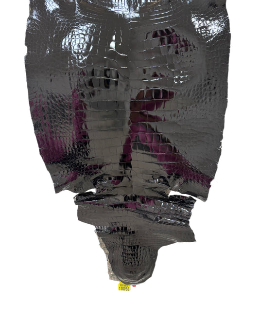 48 cm Grade 1/2 Black Glazed Wild American Alligator Leather - Tag: ITCC-0539906