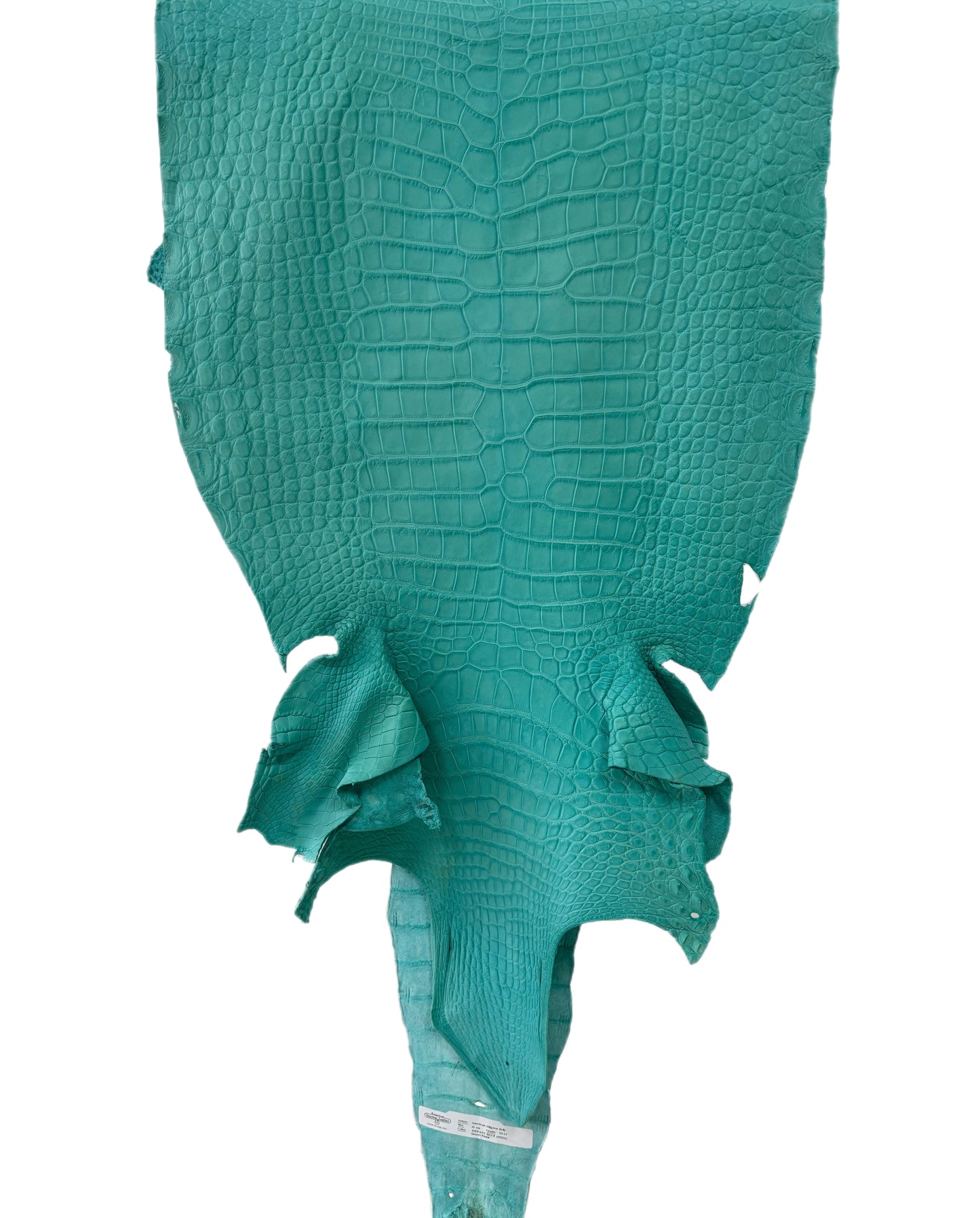 41 cm Grade 3/4 Seafoam Matte Wild American Alligator Leather - Tag: LA23-0003288