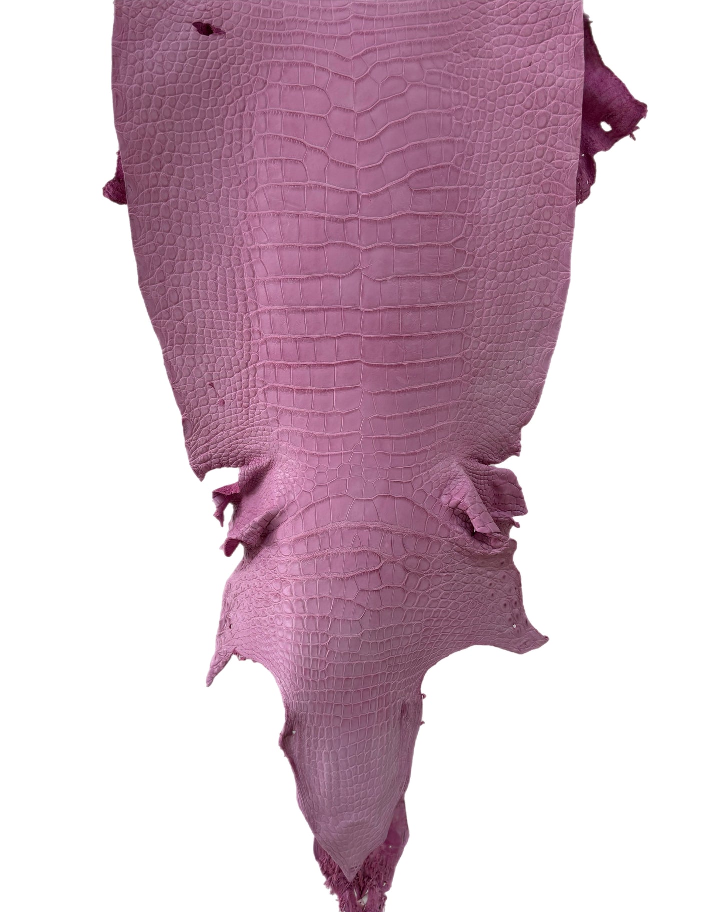 37 cm Grade 4/5 Cotton Candy Matte Wild American Alligator Leather - Tag: LA23-0014518