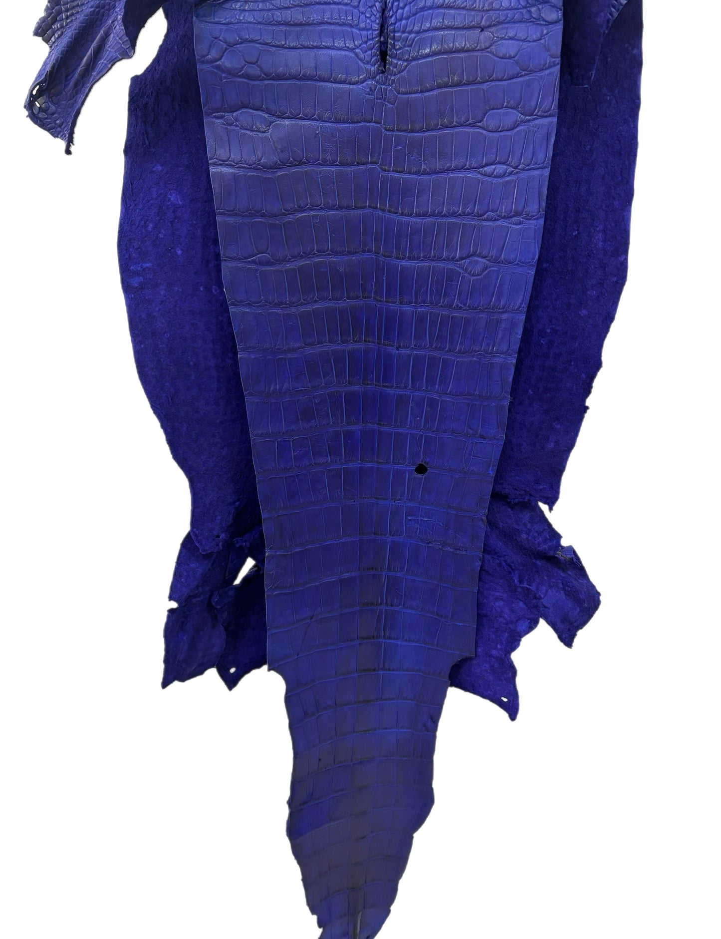 37 cm Grade 3/4 Cobalt Blue Matte Wild American Alligator Leather - Tag: LA23-0050078