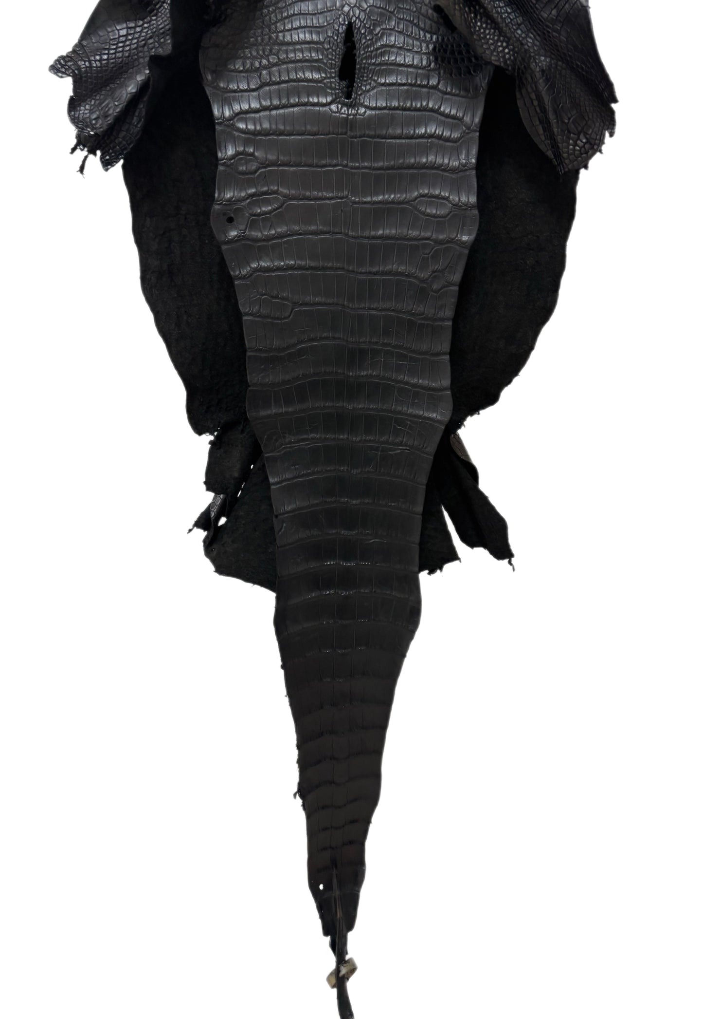 36 cm Grade 3/4 Black Matte Wild American Alligator Leather - Tag: LA16-0037790