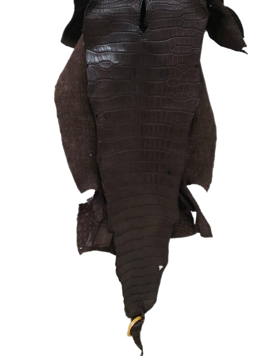 47 cm Grade 3/4 Kralle Brown Matte Wild American Alligator Leather - Tag: LA23-0034364