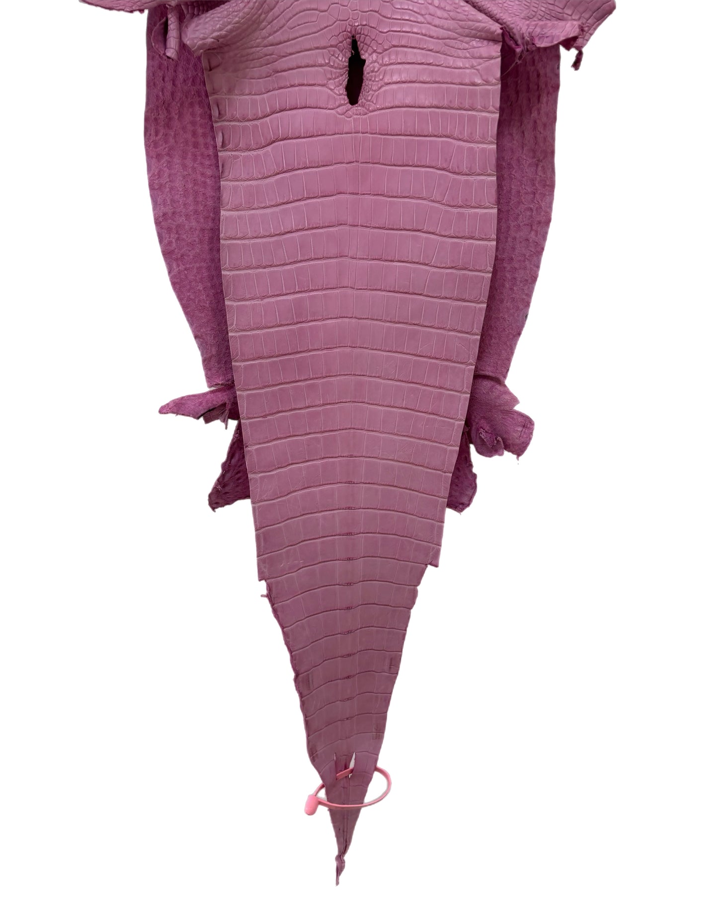 32 cm Grade 2/3 Cotton Candy Matte Farm-Raised American Alligator Leather - Tag: LA21-0308135