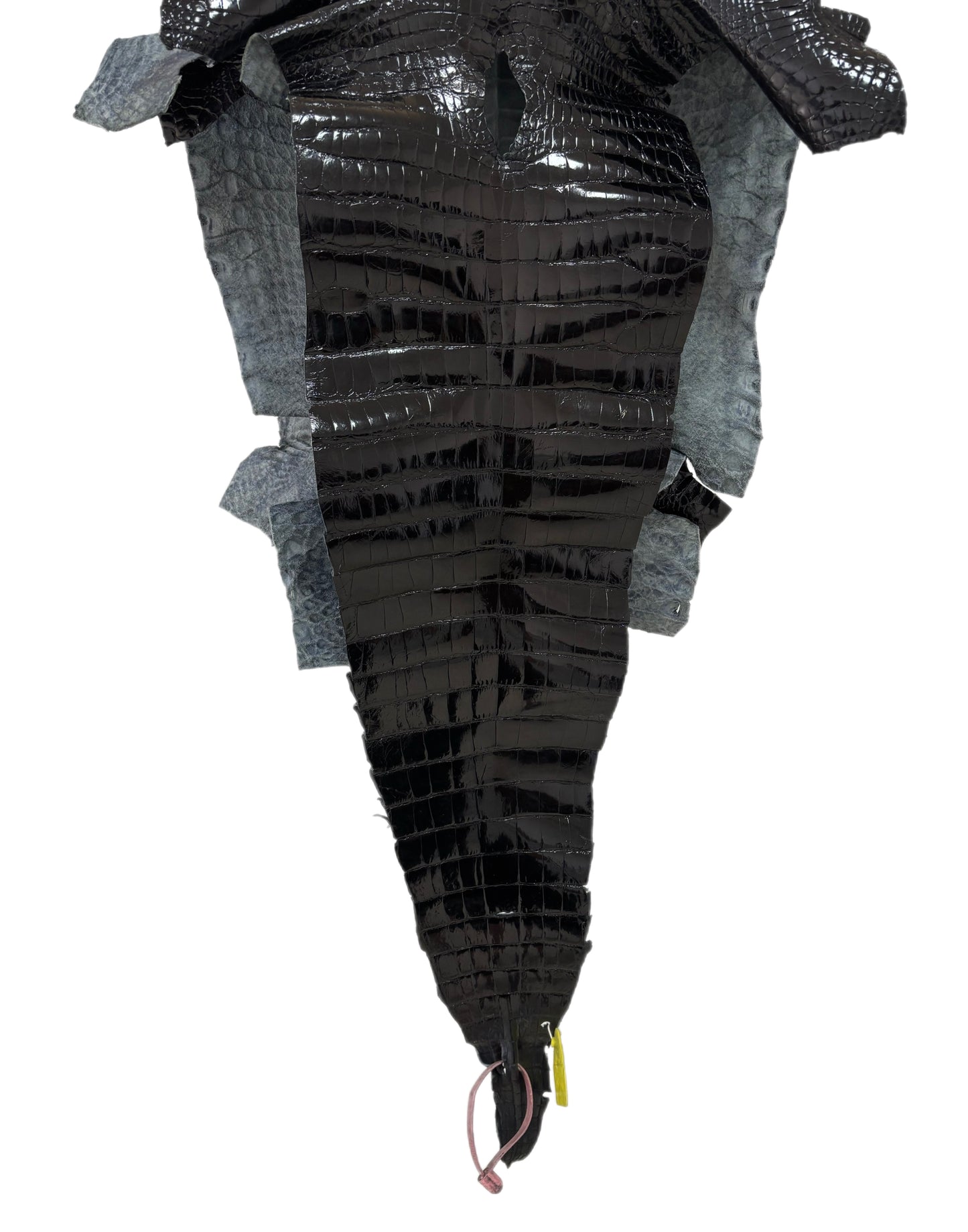 35 cm Grade 2/3 Black Glazed Wild American Alligator Leather - Tag: FL14-0003678