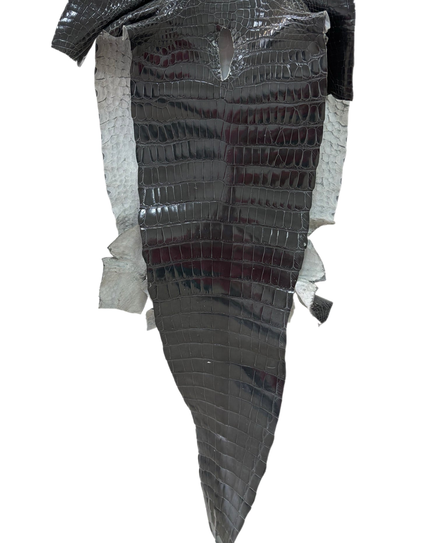37 cm Grade 2/3 Grey Glazed Farm-Raised American Alligator Leather - Tag: GA14-0021583