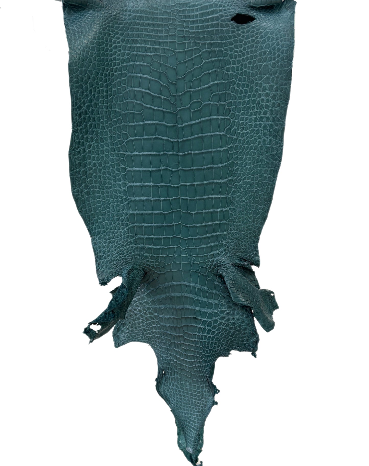 35 cm Grade 2/3 Teal Matte Wild American Alligator Leather - Tag: LA23-0049963