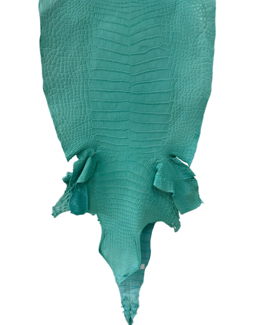 43 cm Grade 3/4 Seafoam Matte Wild American Alligator Leather - Tag: LA23-0015306