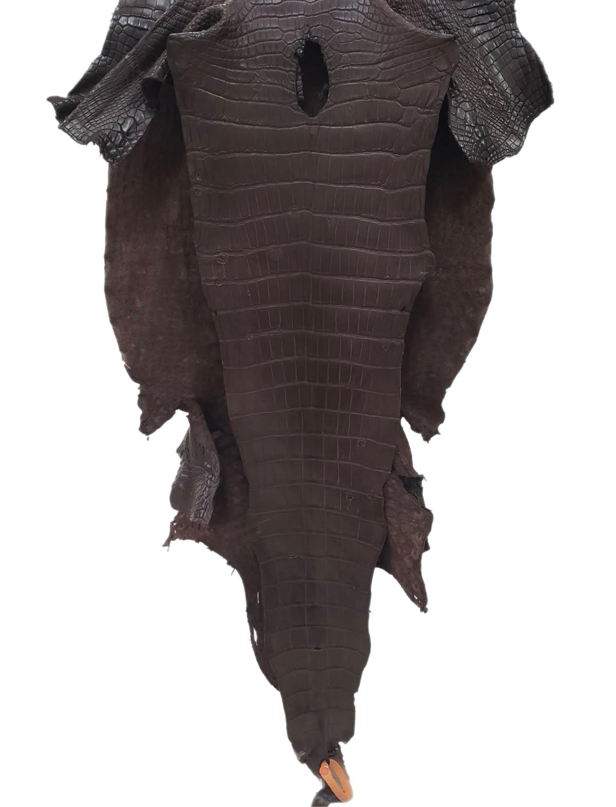 43 cm Grade 2/3 Chocolate Matte Wild American Alligator Leather - Tag: LA24-0024723