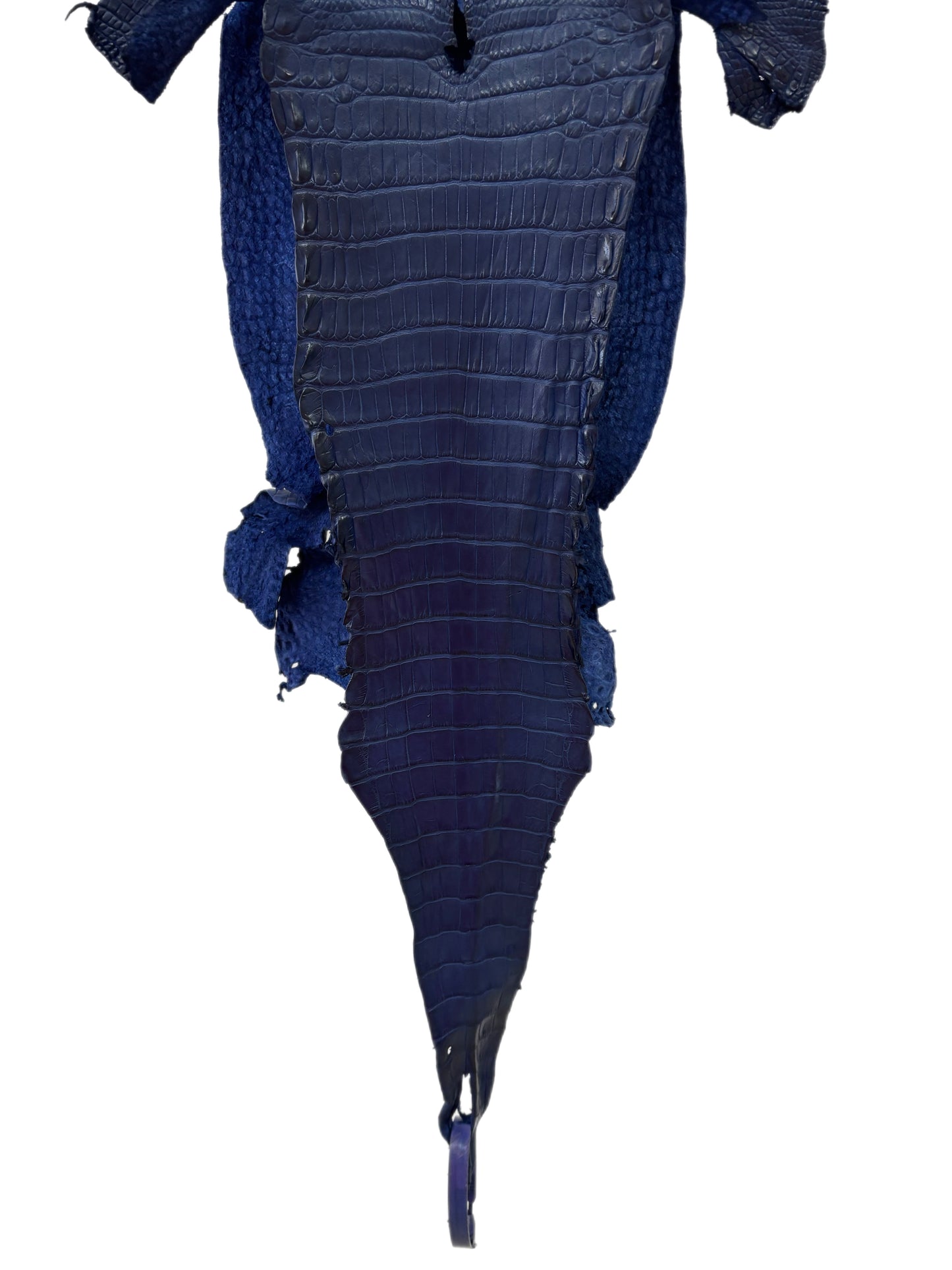22 cm Grade 1/2 Admiral Blue Matte Farm-Raised American Alligator Leather - Tag: LA24-0228892