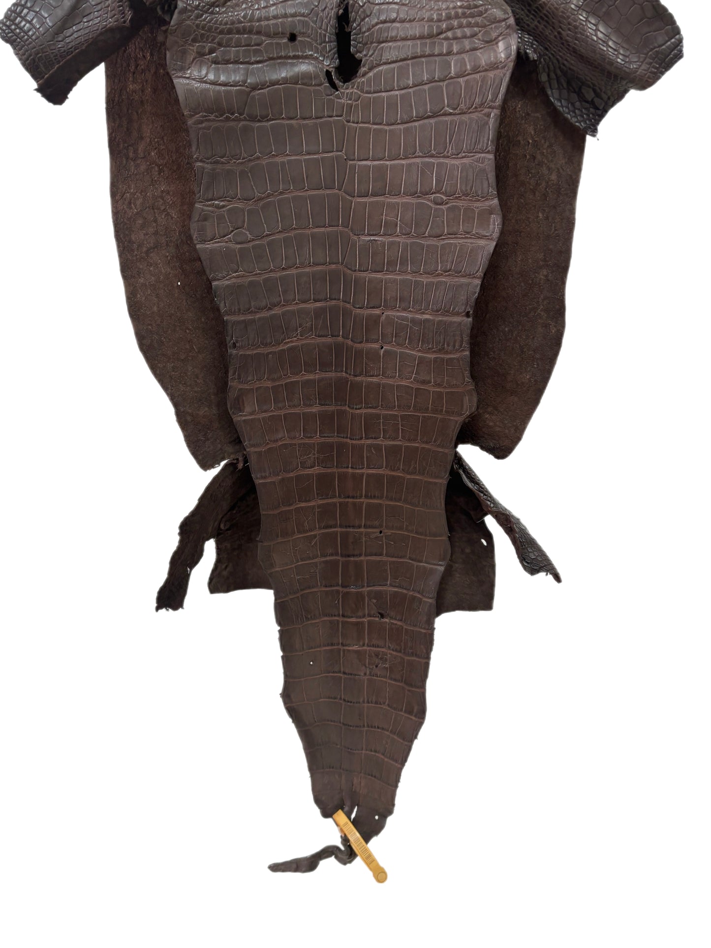 39 cm Grade 3/4 Chocolate Matte Wild American Alligator Leather - Tag: LA23-0003000