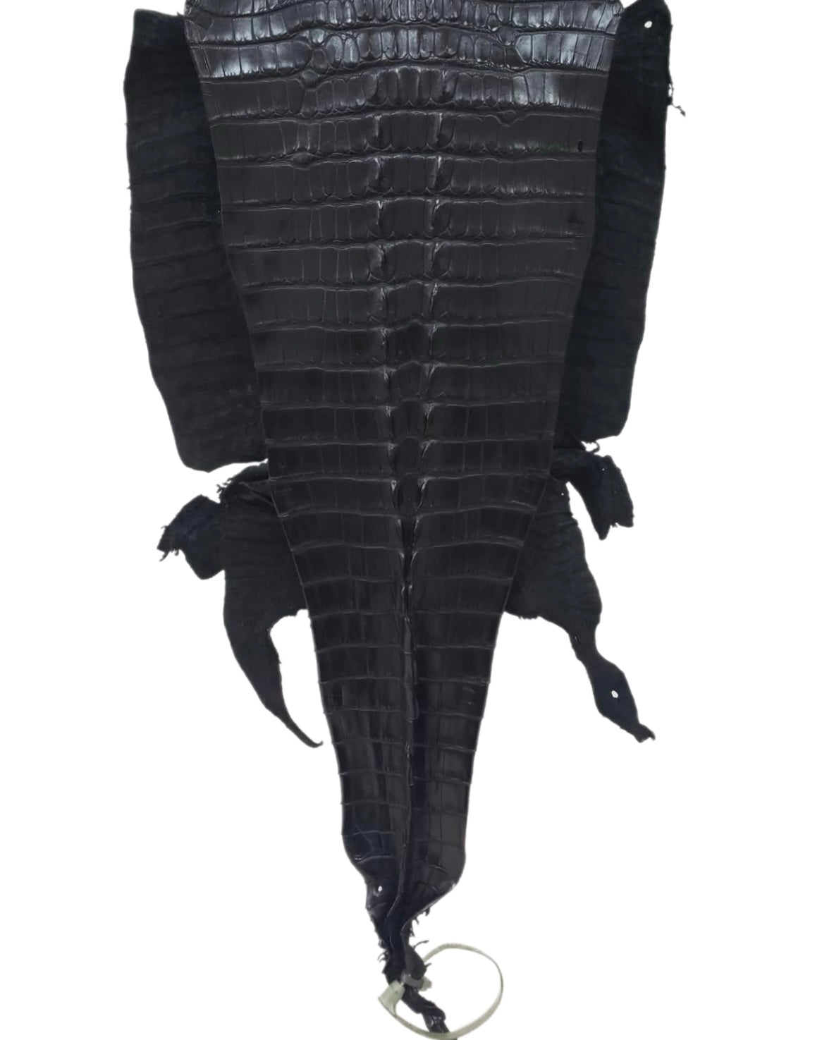 34 cm Grade 1/2 Black Matte Farm-Raised American Alligator Hornback Leather - Tag: LA23-0377044