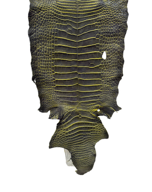 35 cm Grade 3/4 Voltage Matte Wild American Alligator Leather - Tag: ESRE-0050647