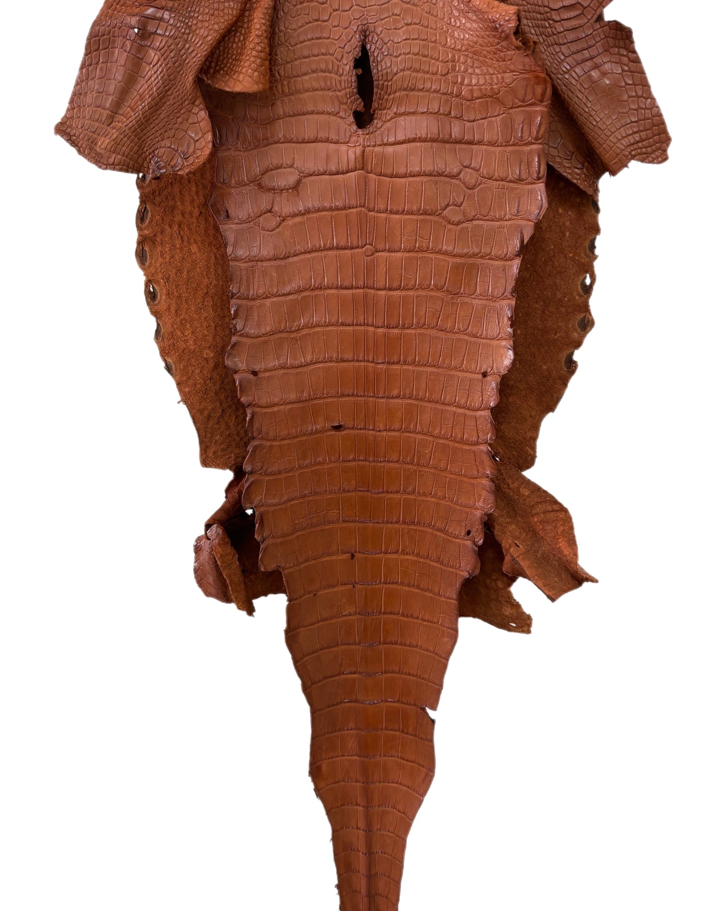 38 cm Grade 4/5 Cognac Matte Wild American Alligator Leather - Tag: LA23-0002853