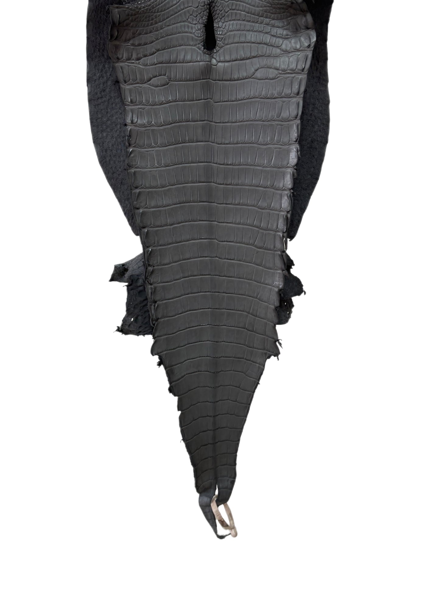 33 cm Grade 2/3 Serpentine Grey Matte Farm-Raised American Alligator Leather - Tag: LA17-0274669