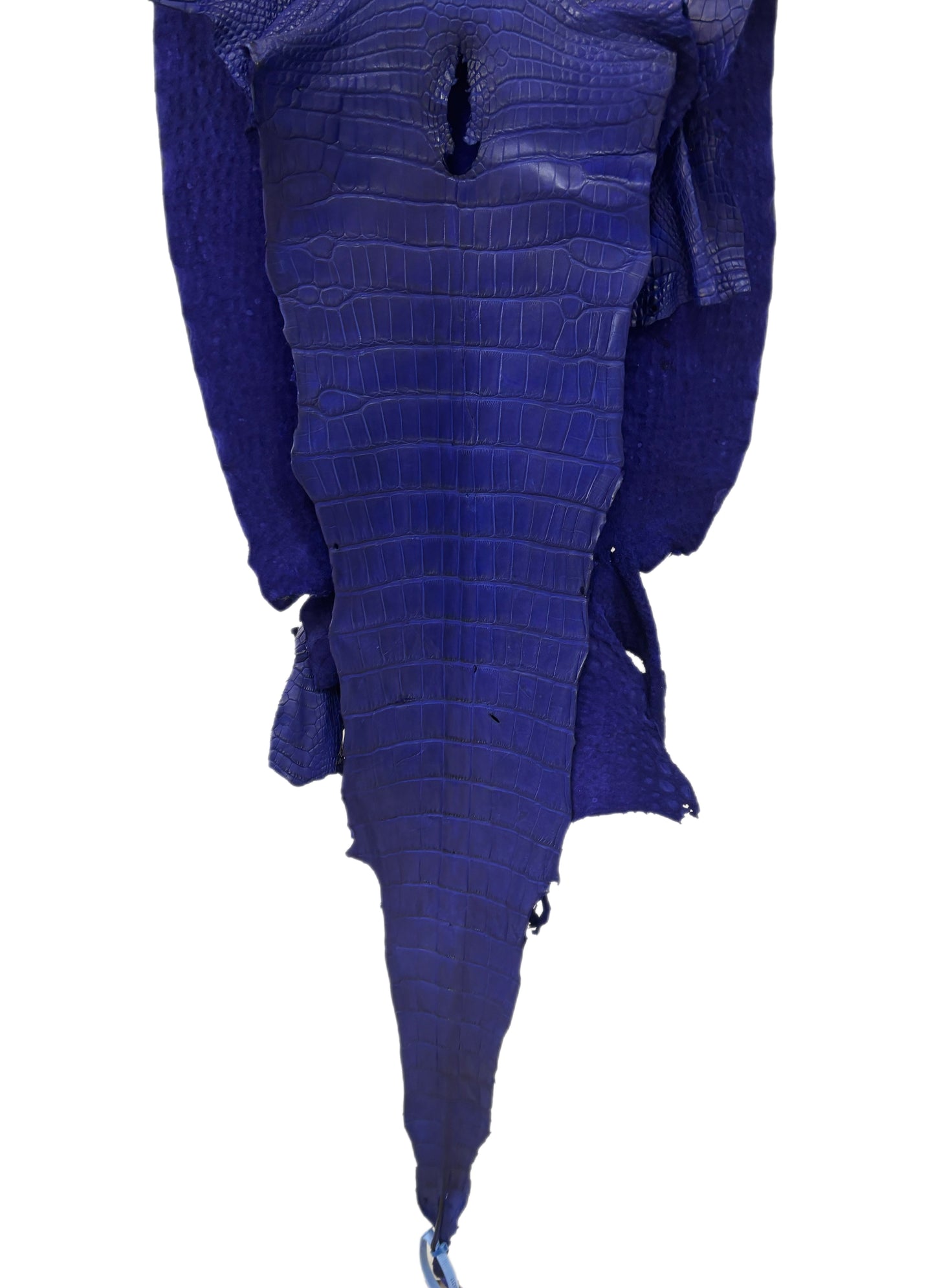 41 cm Grade 2/3 Cobalt Blue Matte Wild American Alligator Leather - Tag: LA23-0024217
