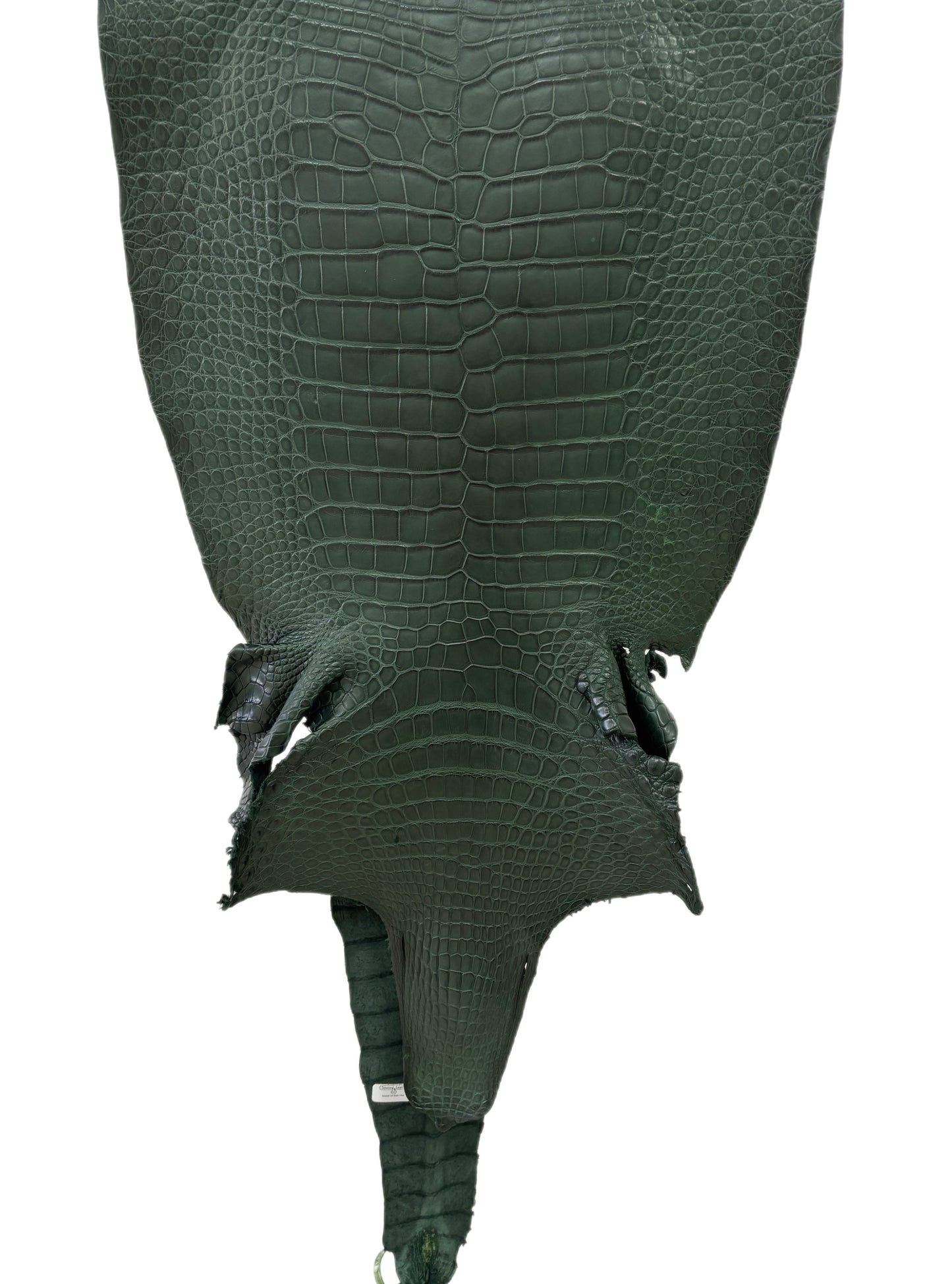 42 cm Grade 2/3 Forest Green Matte Wild American Alligator Leather - Tag: LA23-0022821