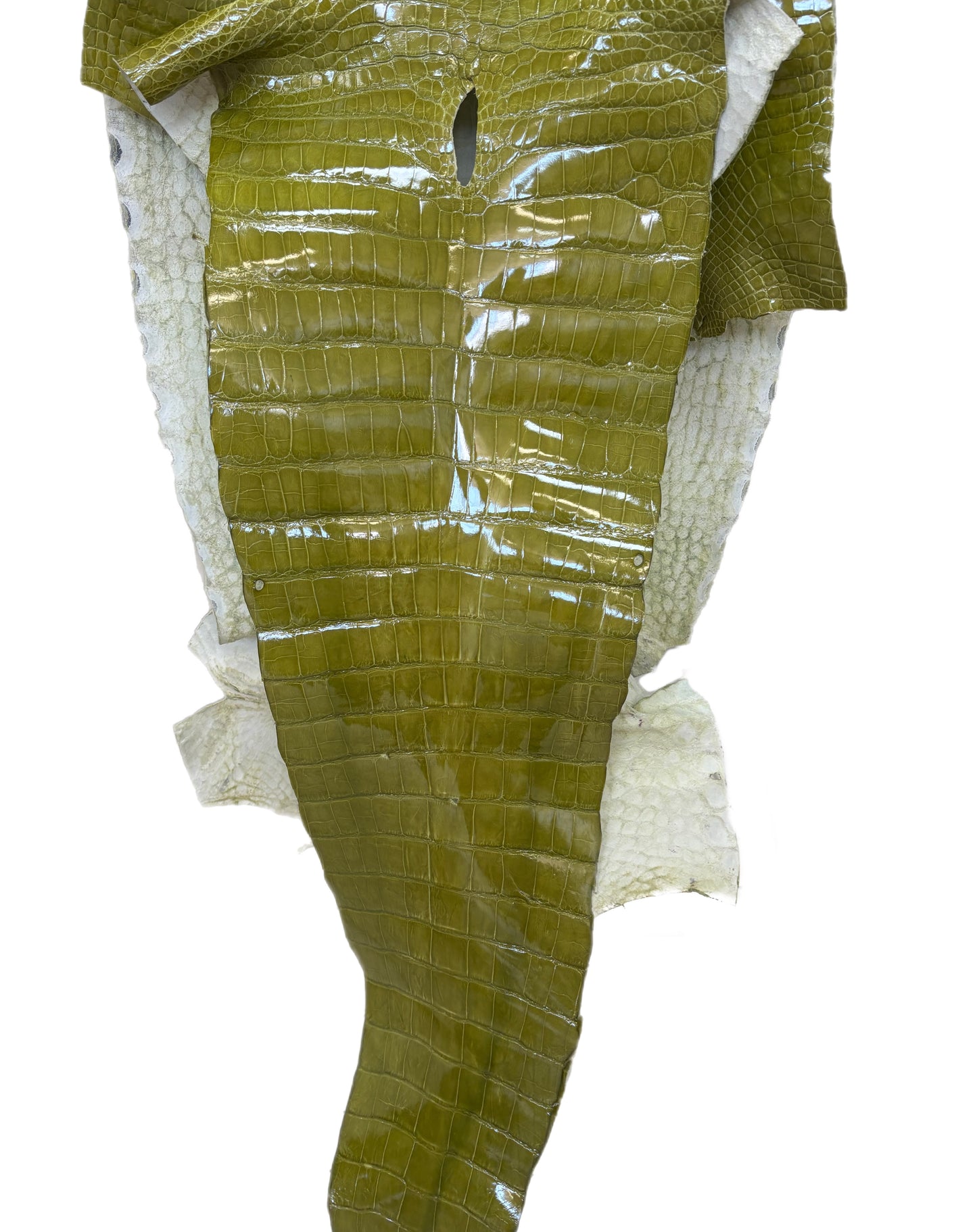 CLOSEOUT | 45 cm Grade 3/4 Muguet Glazed Wild American Alligator Leather - Tag: CCIT-0539939