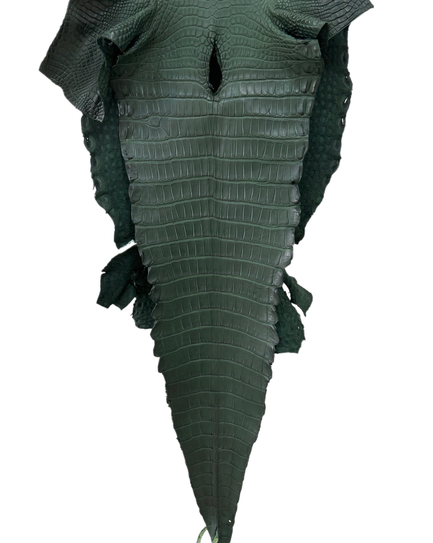 38 cm Grade 1/2 Forest Green Matte Farm-Raised American Alligator Leather - Tag: LA17-0274467
