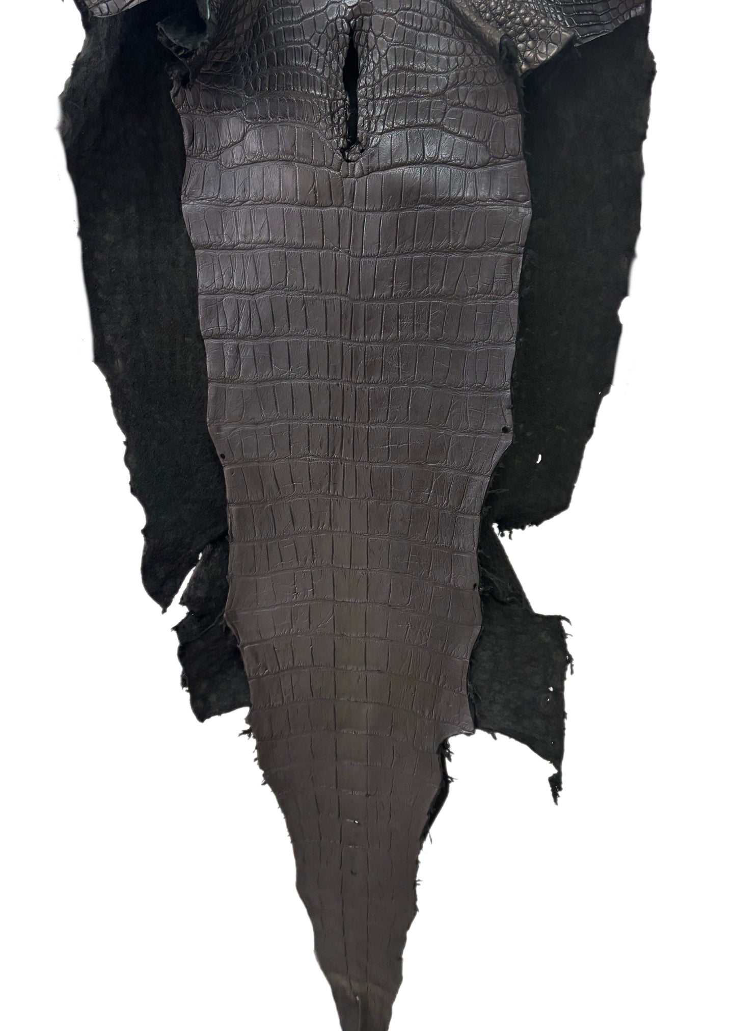 57 cm Grade 3/4 Black Matte Wild American Alligator Leather - Tag: LA23-0006480