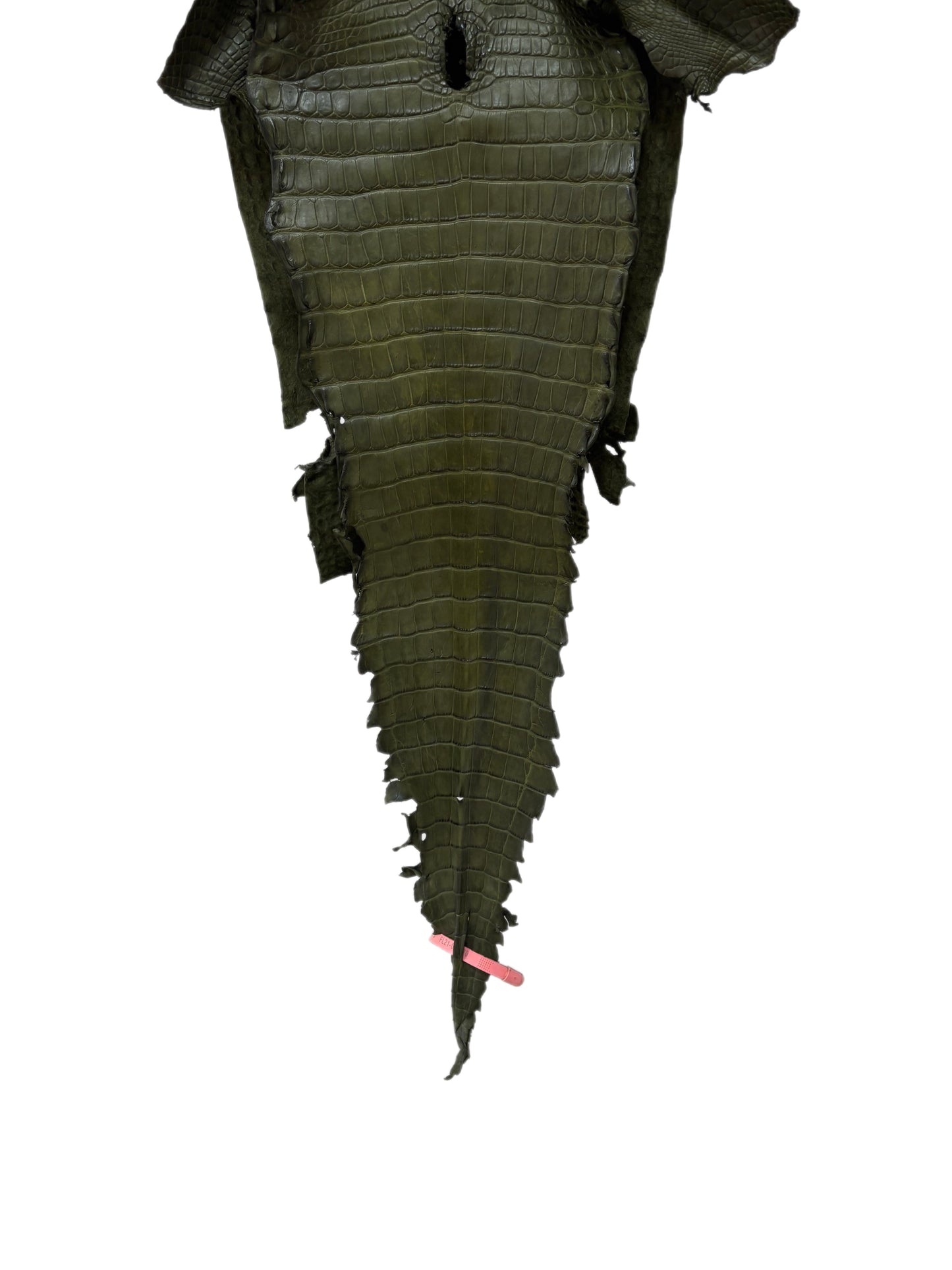 27 cm Grade 2/3 Olive Matte Farm-Raised American Alligator Leather - Tag: FL21-0024470
