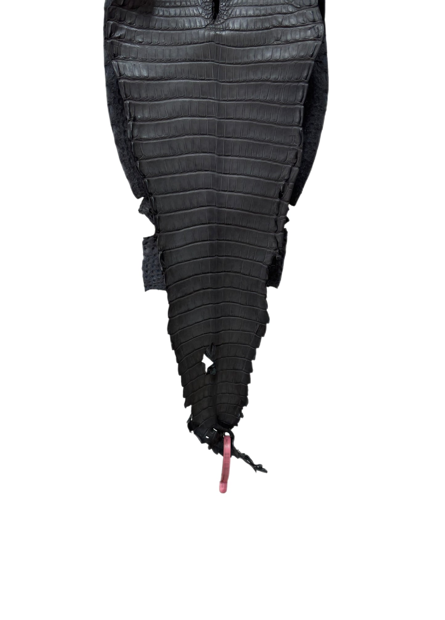 24 cm Grade 1/2 Serpentine Grey Matte Farm-Raised American Alligator Leather - Tag: FL21-0025110