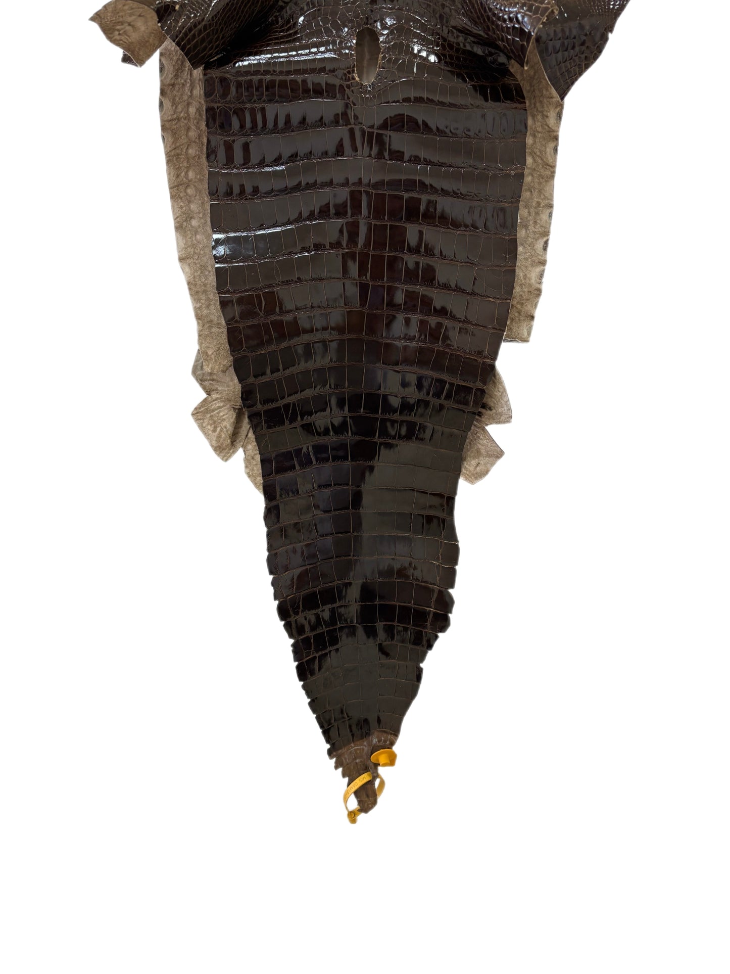 35 cm Grade 2/3 Sport Rust Brown Glazed Farm-Raised American Alligator Leather - Tag: GA13-0020396