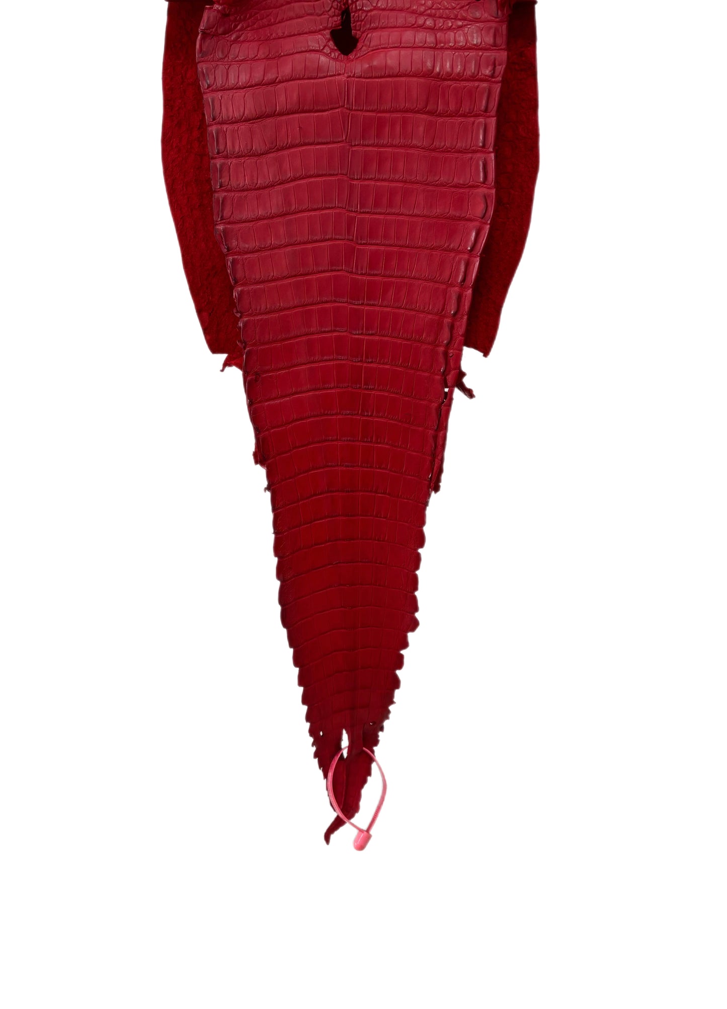 25 cm Grade 1/2 Candy Apple Red Matte Farm-Raised American Alligator Leather - Tag: FL21-0024701