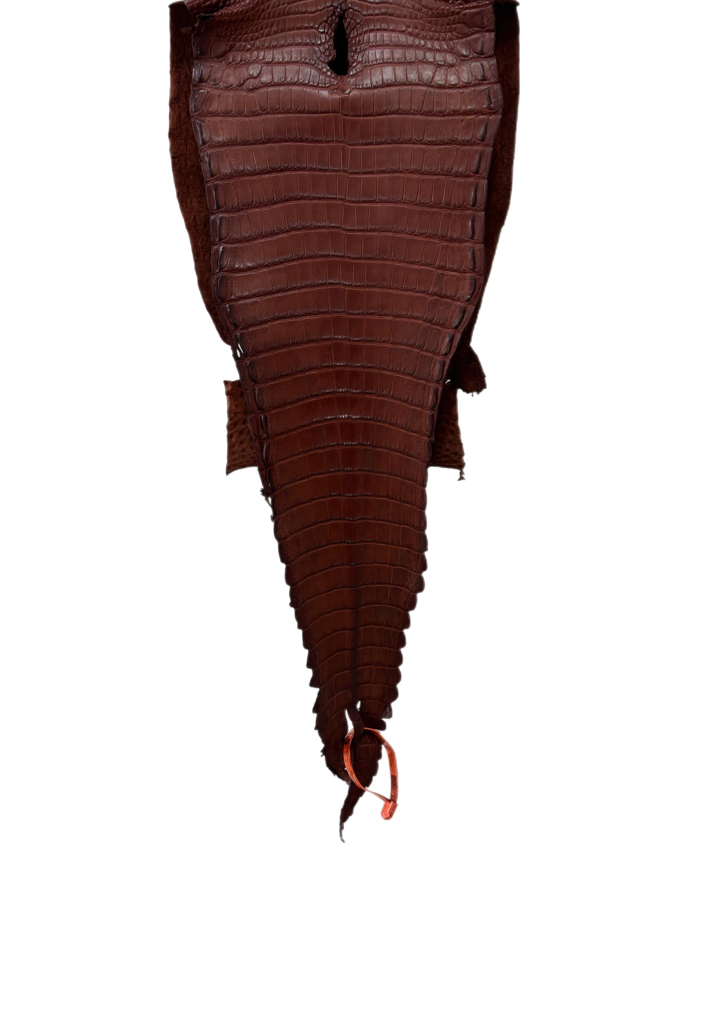 25 cm Grade 2/3 Italian Gold Matte Farm-Raised American Alligator Leather - Tag: FL21-0024666