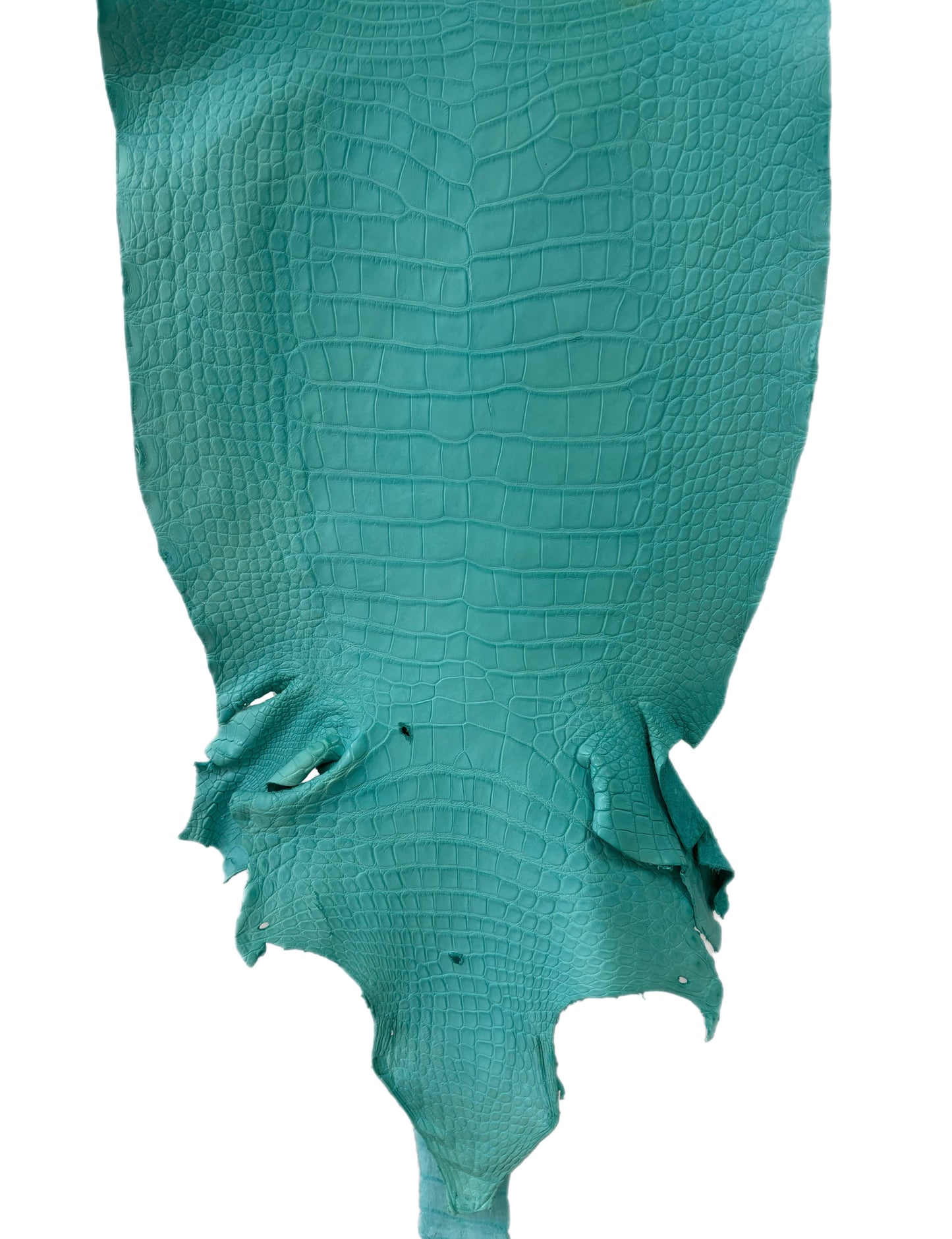 42 cm Grade 2/3 Seafoam Matte Wild American Alligator Leather - Tag: LA23-0003846