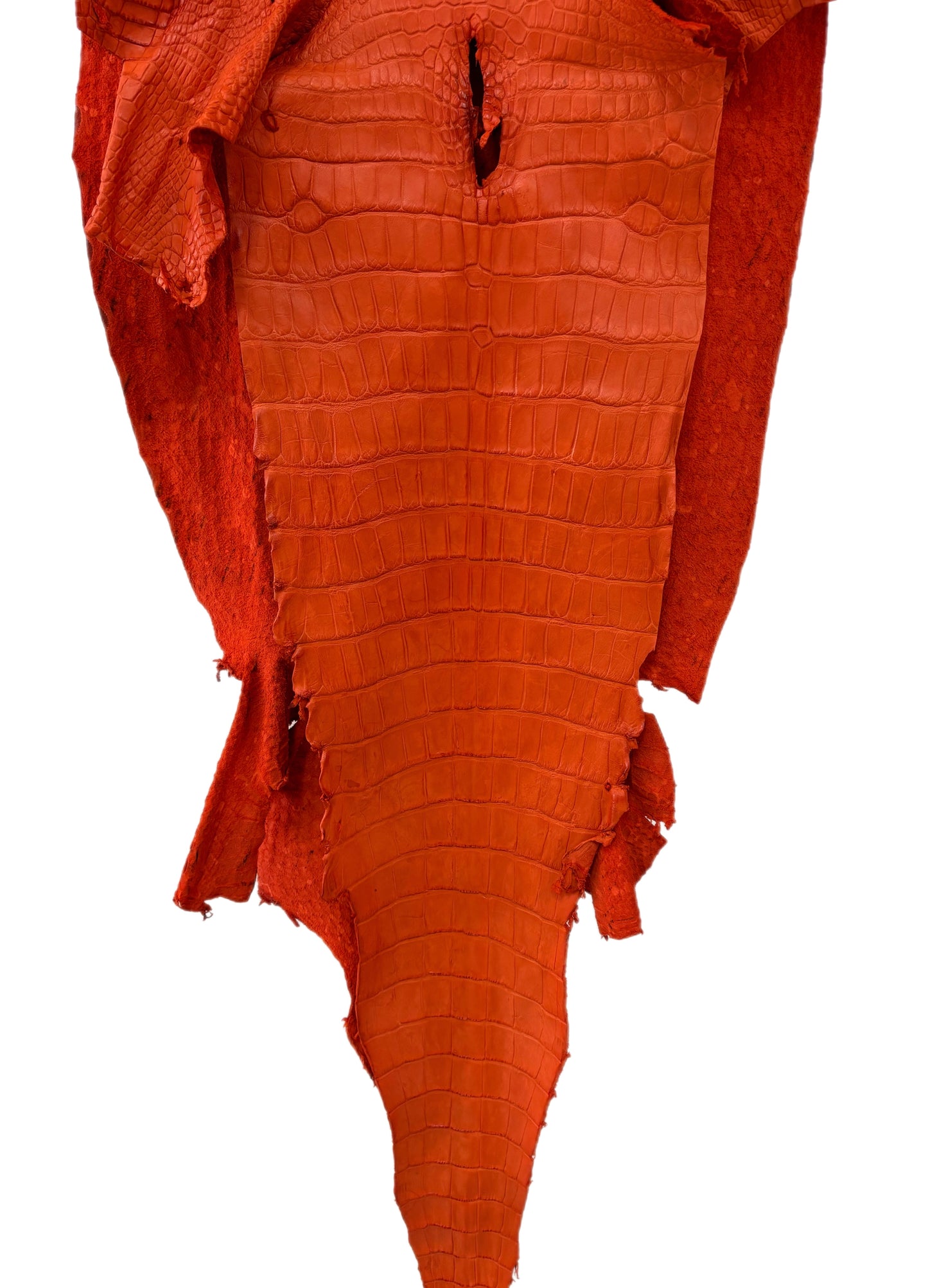 45 cm Grade 2/3 Orange Matte Wild American Alligator Leather - Tag: LA23-0010993