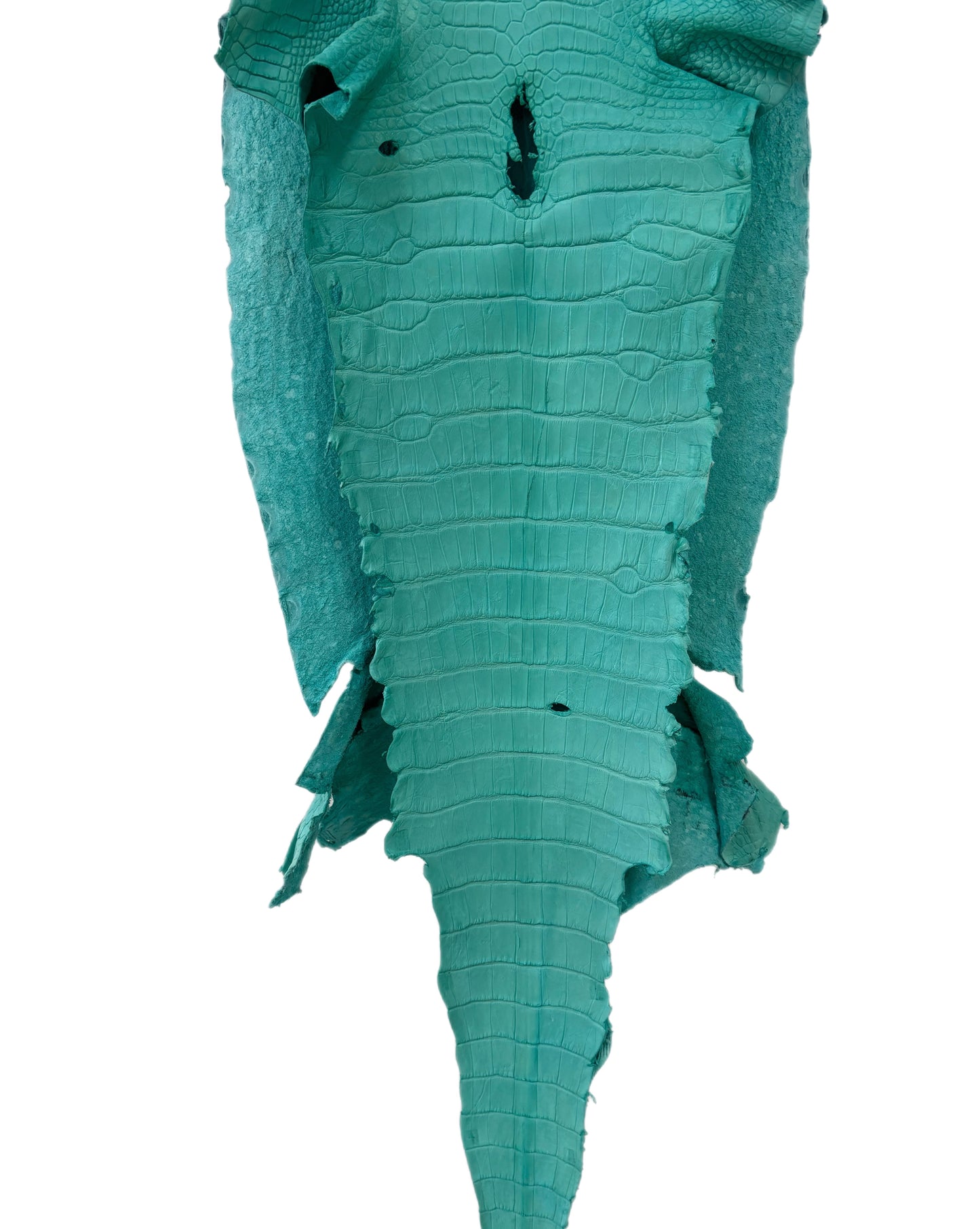 39 cm Grade 2/3 Seafoam Matte Wild American Alligator Leather - Tag: LA23-0023031