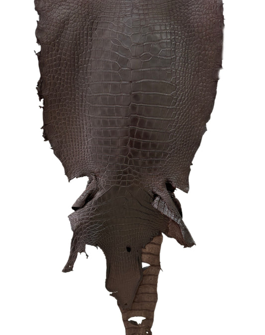 46 cm Grade 4/5 Dark Chocolate Matte Wild American Alligator Leather - Tag: LA23-0048147