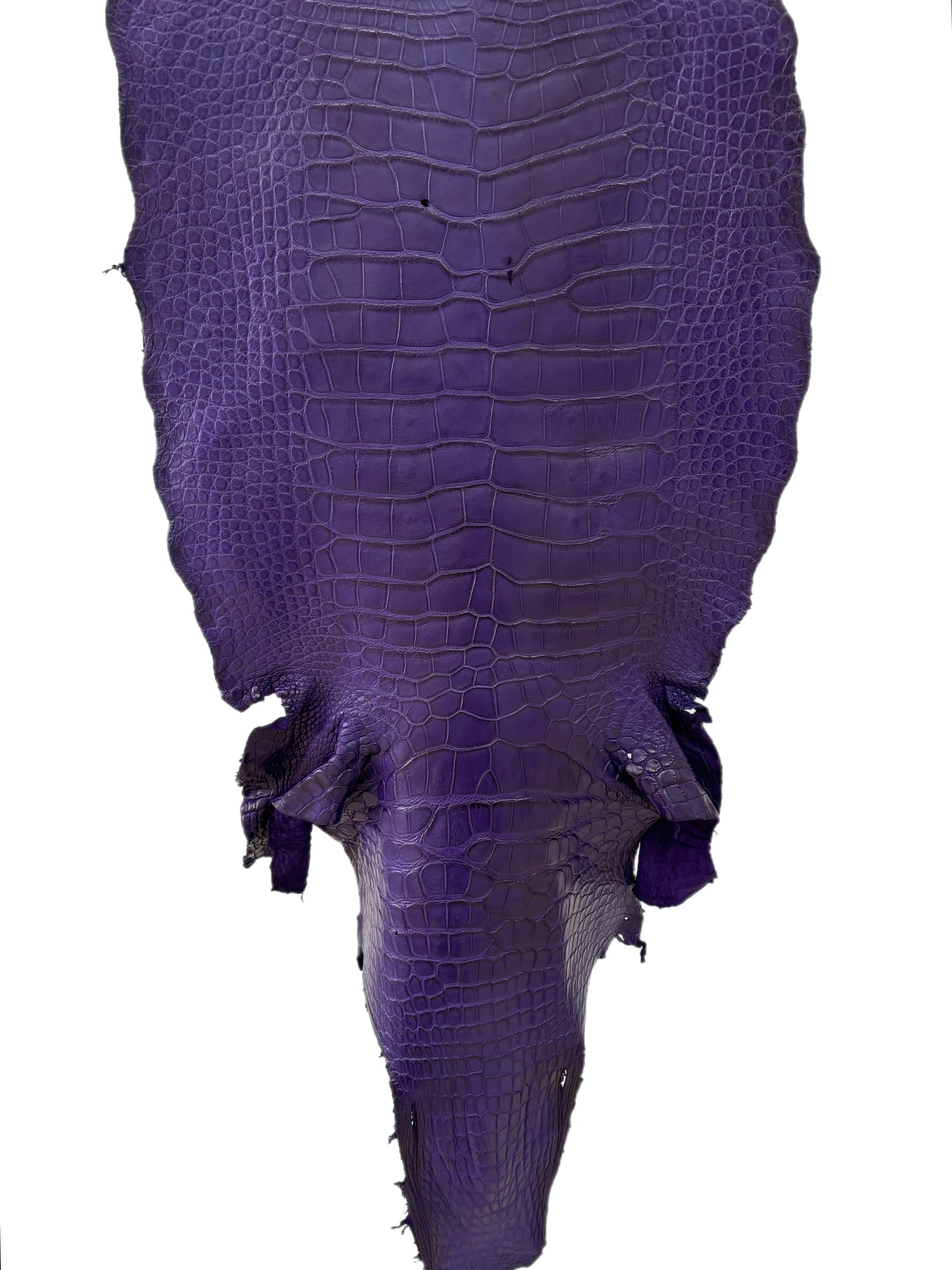 48 cm Grade 3/4 Violet Primavera Matte Wild American Alligator Leather - Tag: MS24-0000666