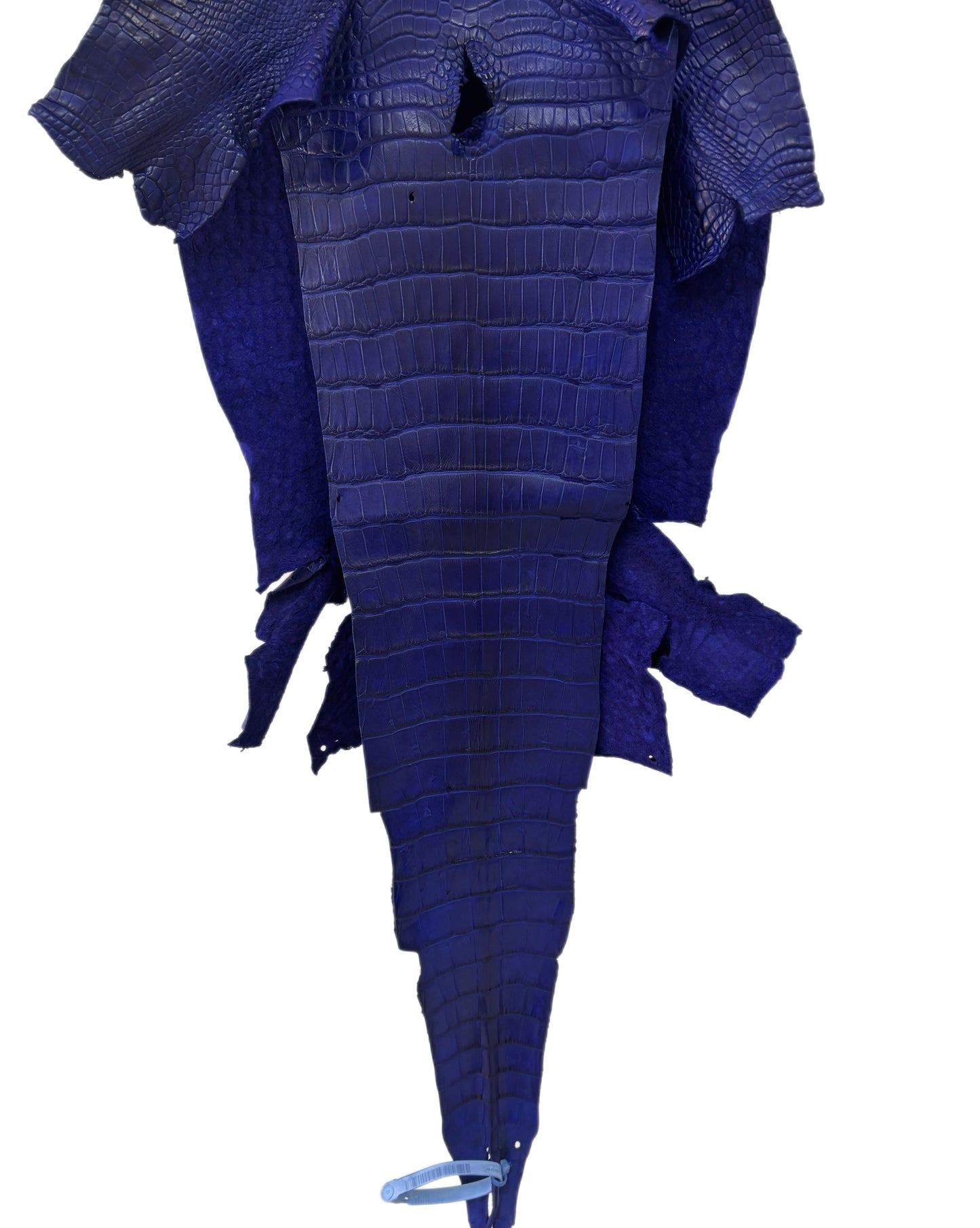 32 cm Grade 3/4 Cobalt Blue Matte Wild American Alligator Leather - Tag: LA23-0050661