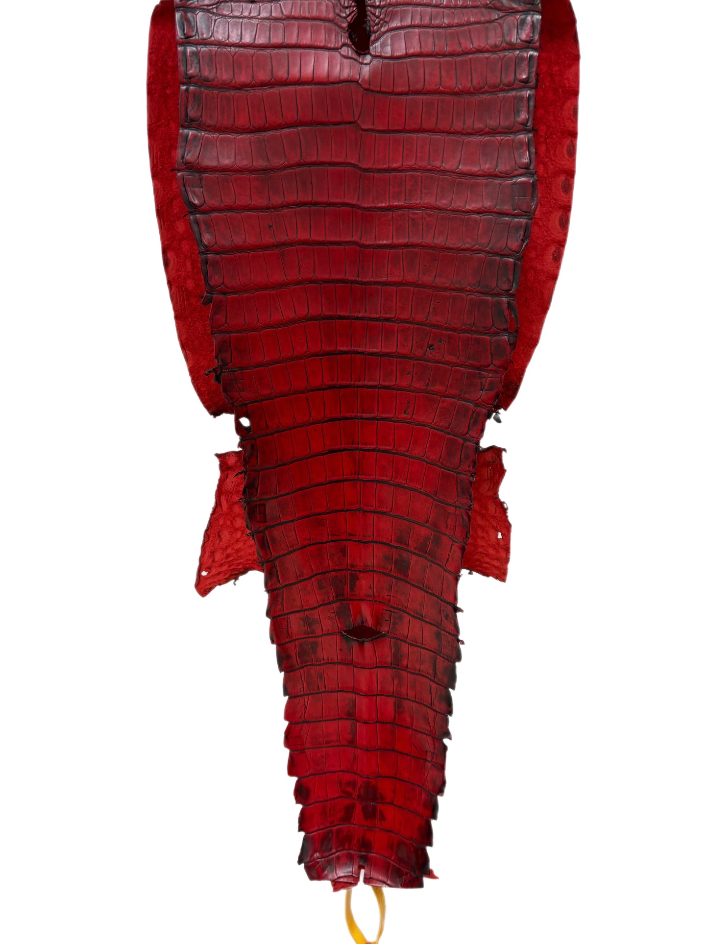 26 cm Grade 1/2 Candy Apple Red Antique Farm-raised American Alligator Leather - Tag: FL22-0030210