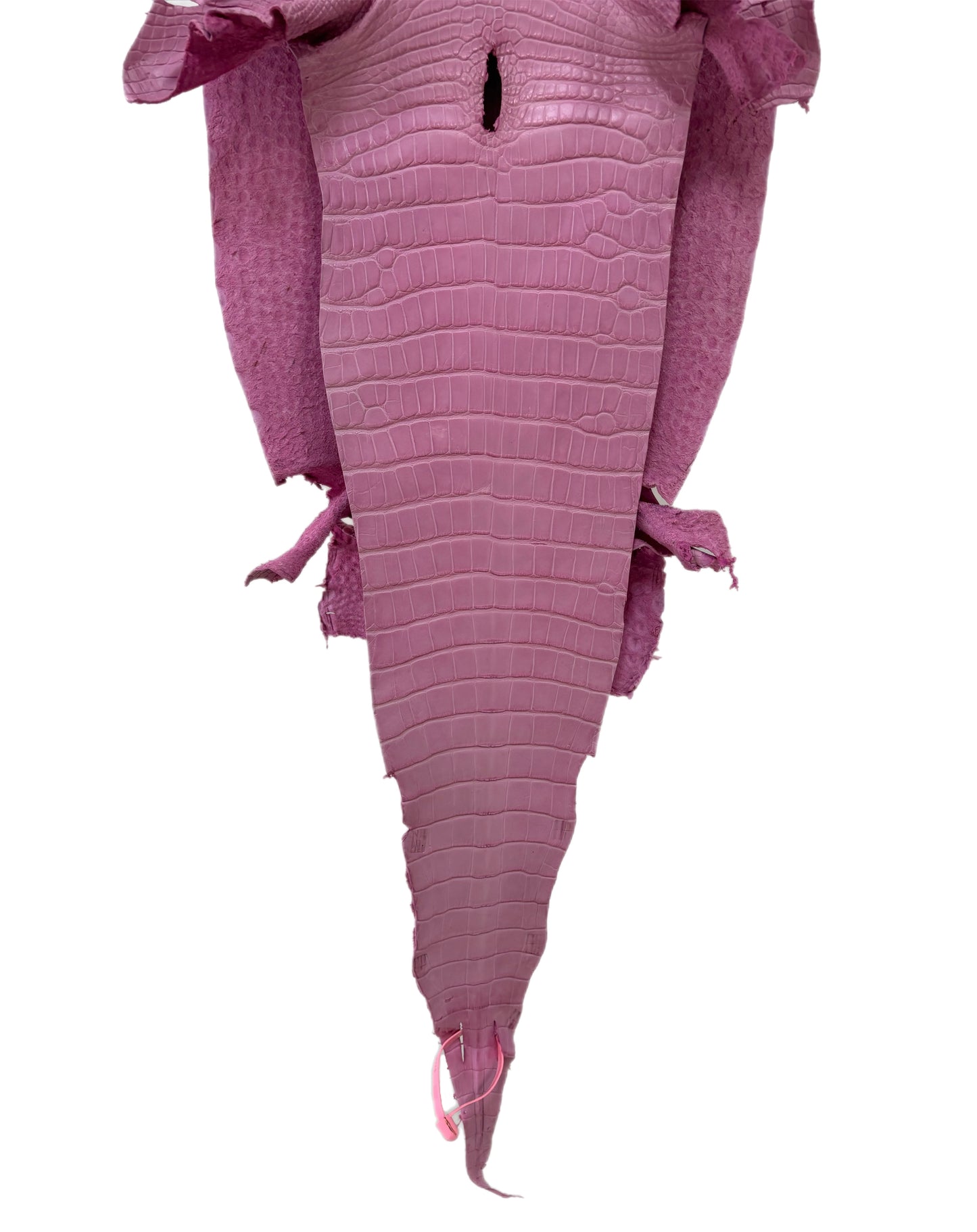 31 cm Grade 3/4 Cotton Candy Matte Farm-Raised American Alligator Leather - Tag: LA21-0328778