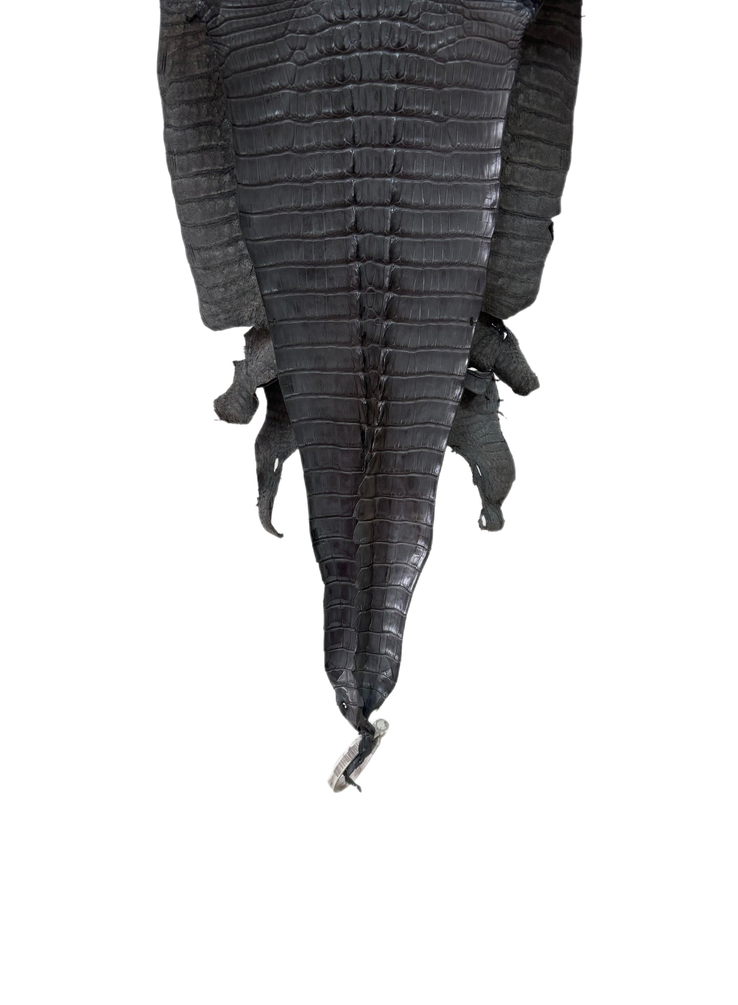 32 cm Grade 1 Serpentine Grey Matte Farm-Raised American Alligator Leather - Tag: LA23-0377026