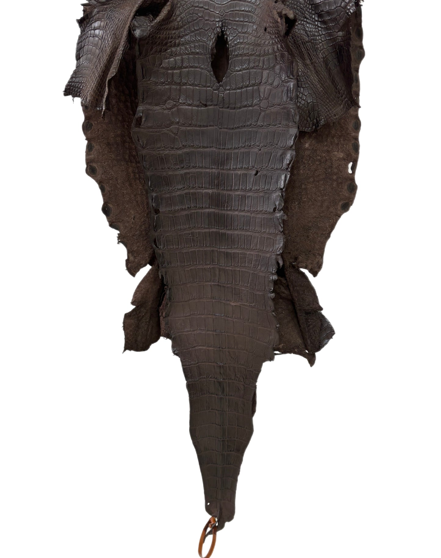 42 cm Grade 3/4 Dark Chocolate Matte Wild American Alligator Leather - Tag: LA23-0000212