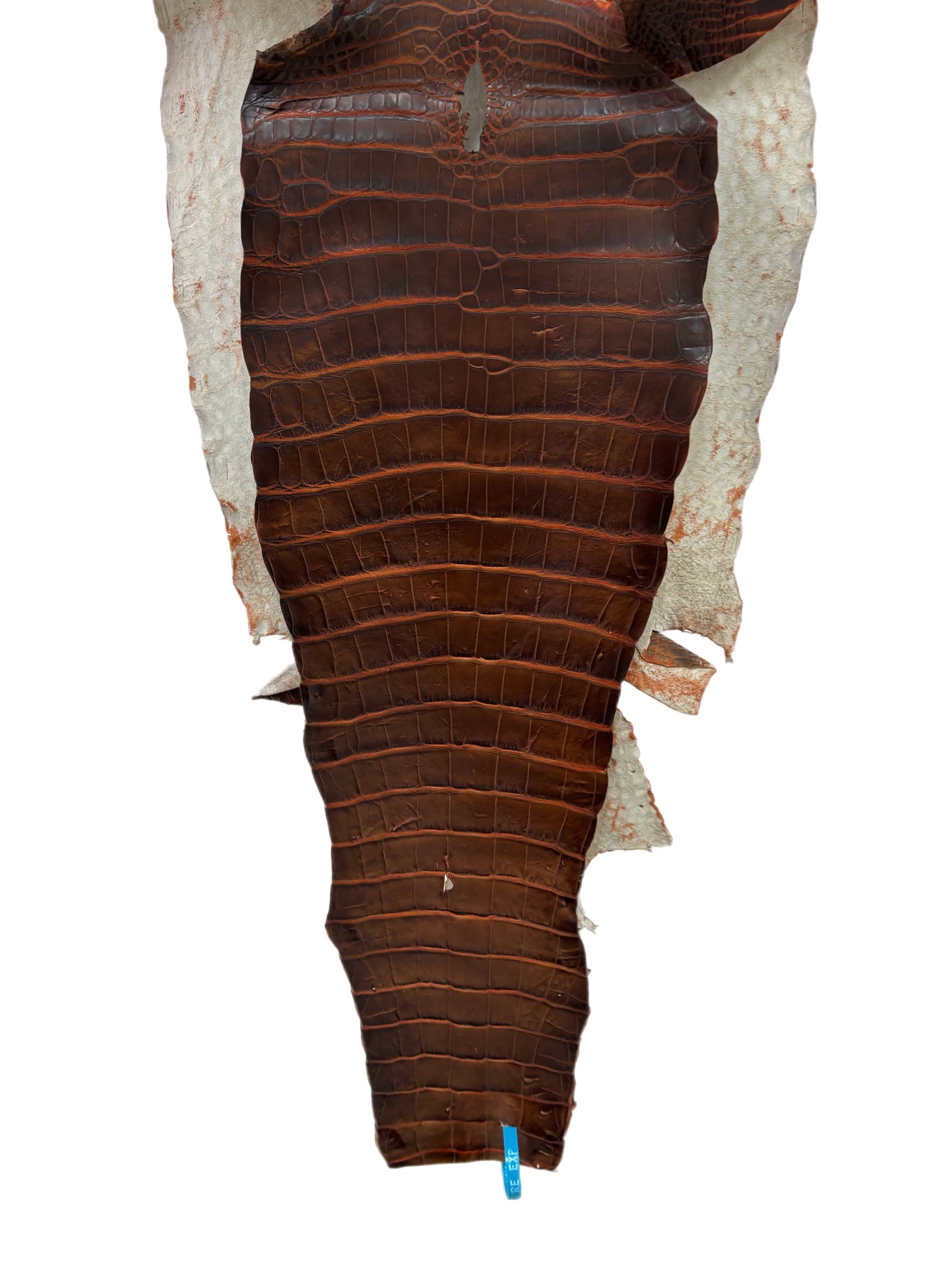 37 cm Grade 1/2 Sienna Matte Wild American Alligator Leather - Tag: ESRE-0050804