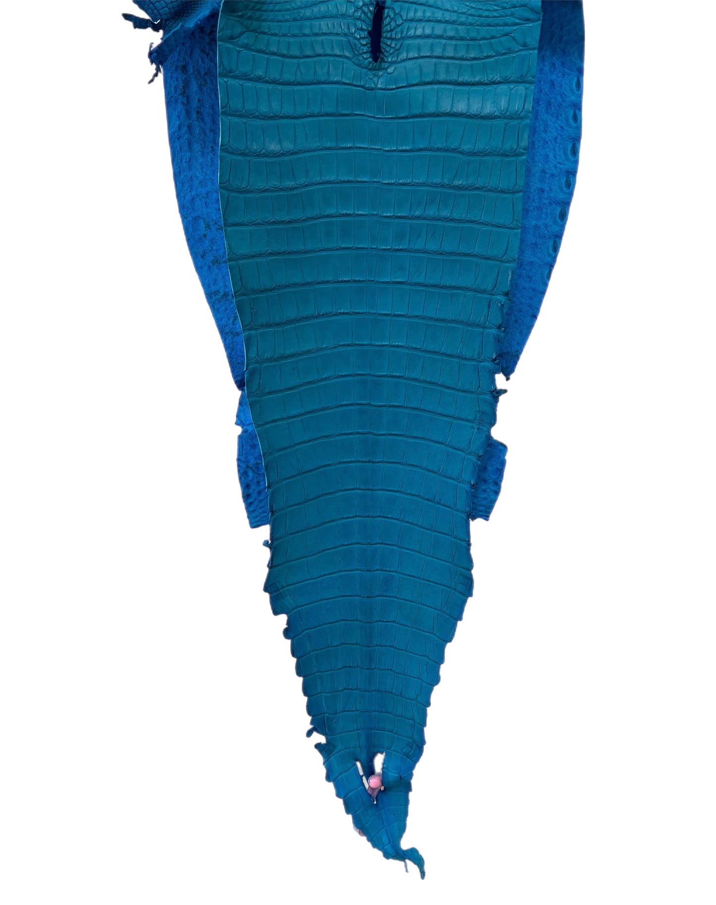 29 cm Grade 2/3 Ultramarine Matte Farm-Raised American Alligator Leather - Tag: FL21-0024077
