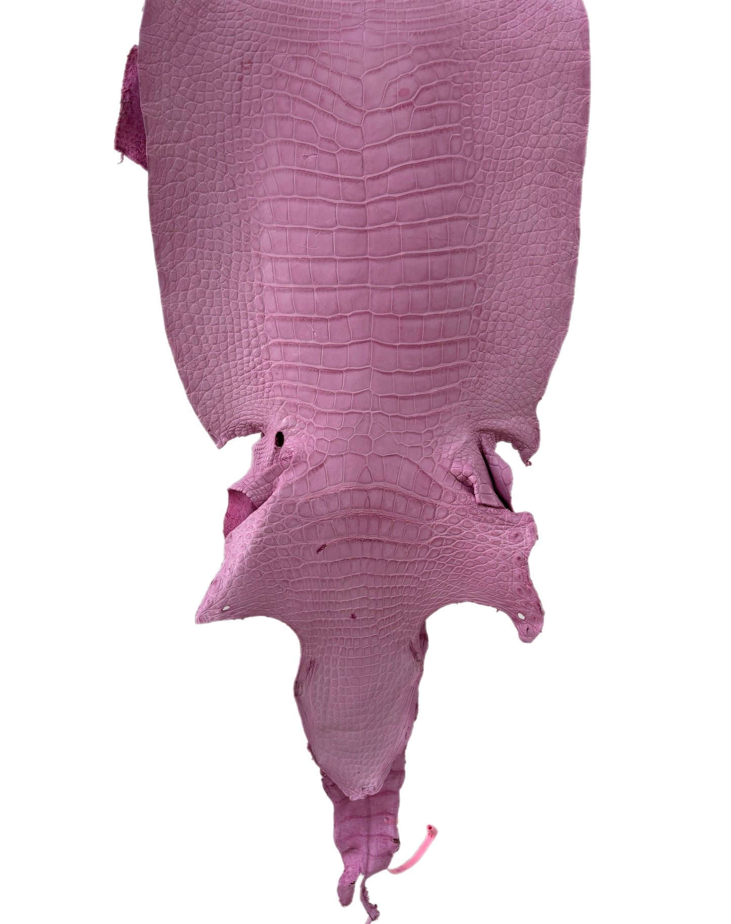 40 cm Grade 3/4 Cotton Candy Matte Wild American Alligator Leather - Tag: MS24-0000582